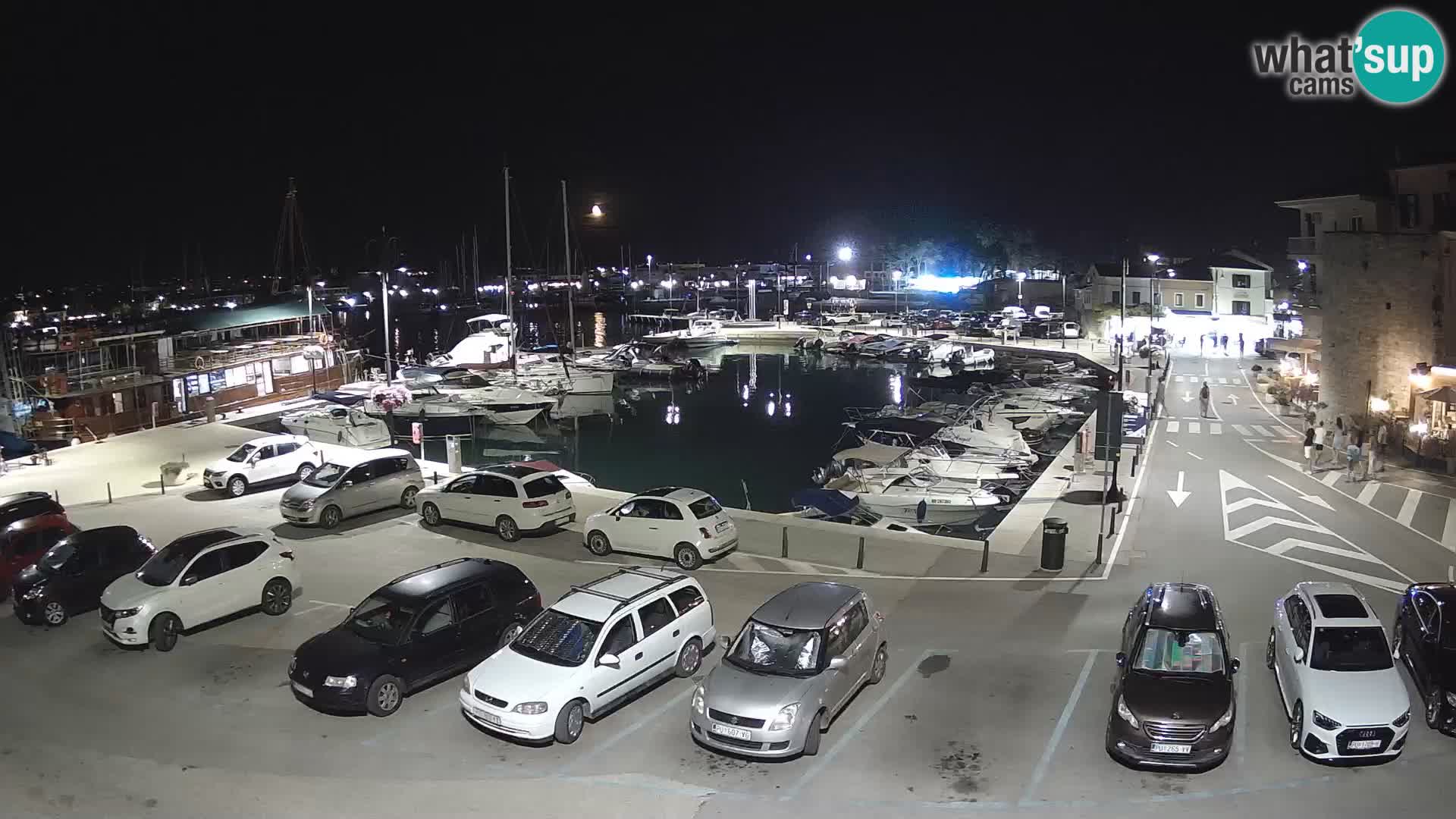 Novigrad | Porporela marina