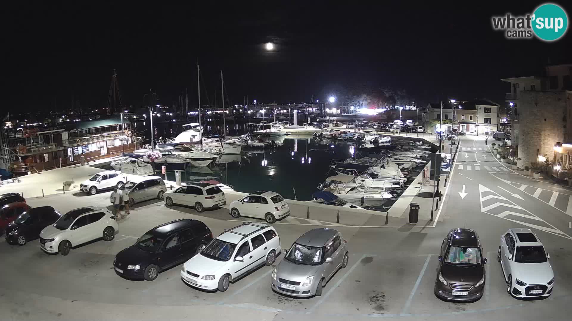 Novigrad | Porporela marina