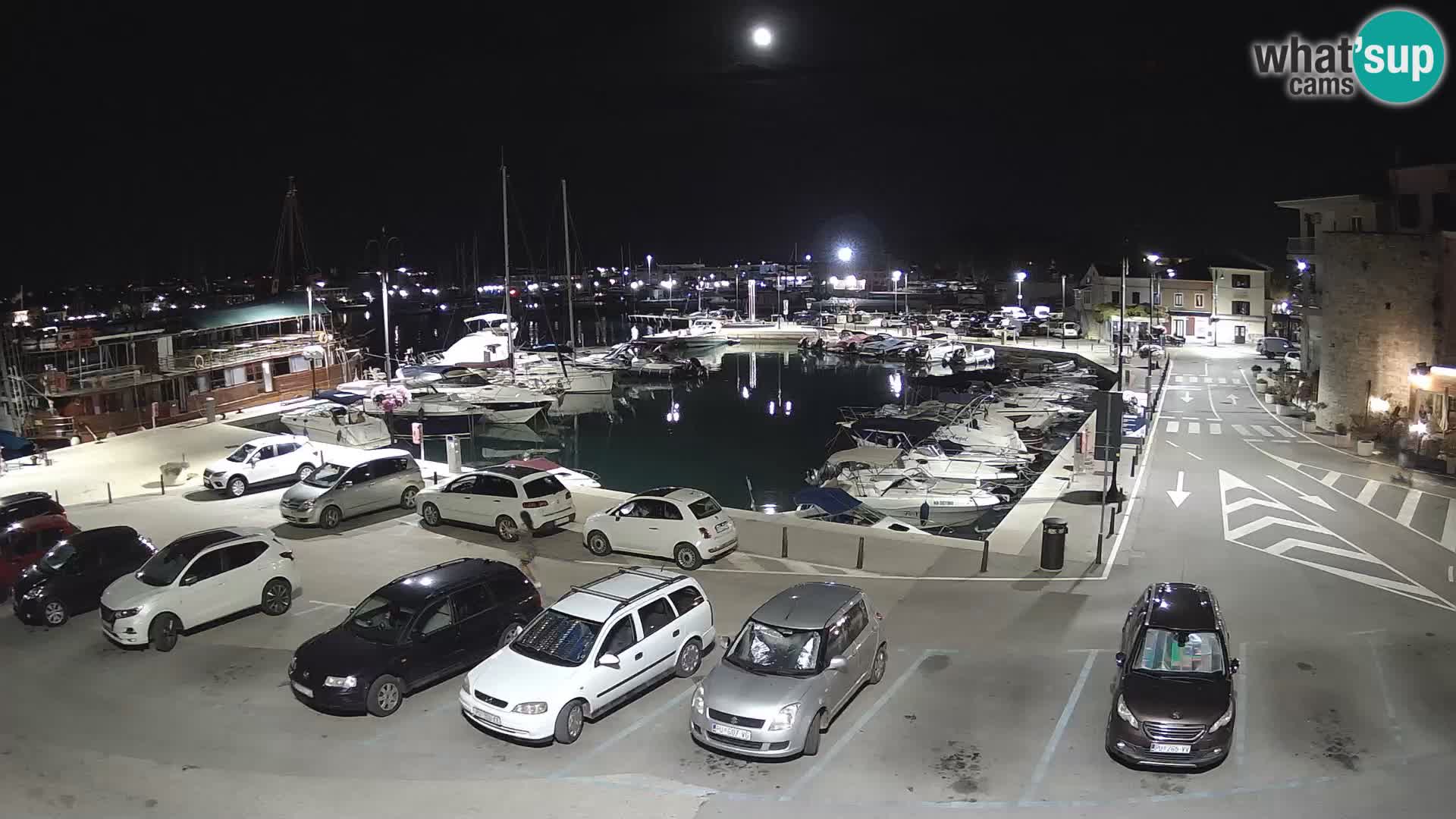 Novigrad | Porporela marina