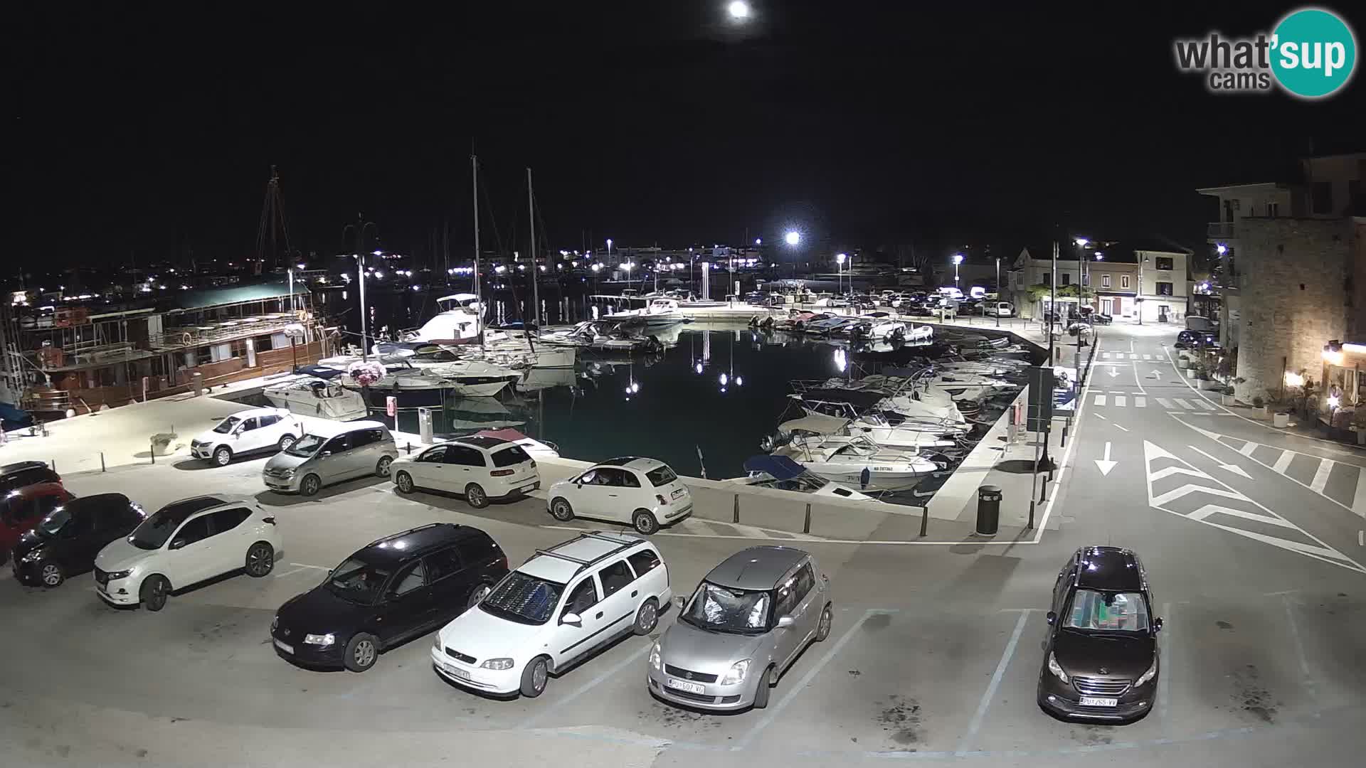 Novigrad | Porporela marina