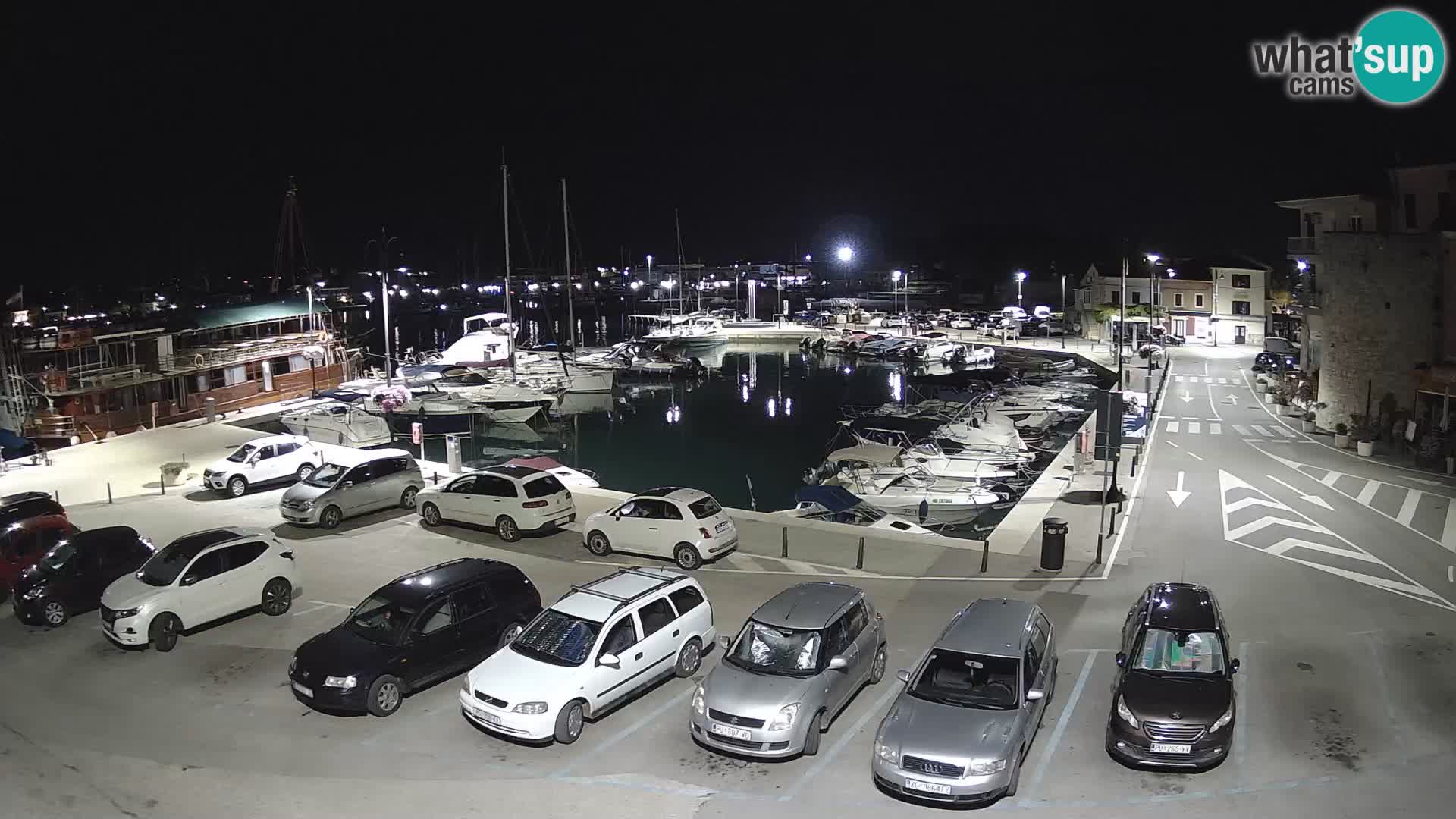 Novigrad | Porporela marina