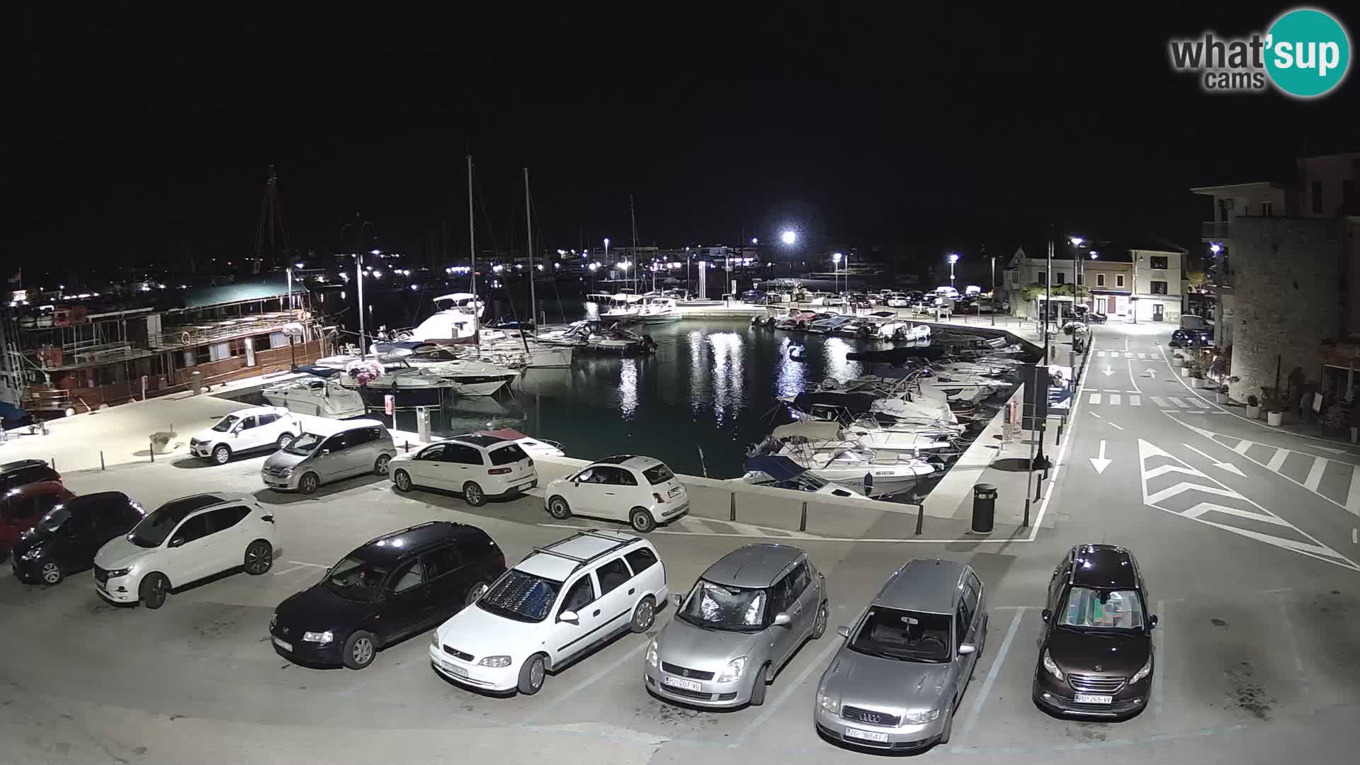 Novigrad | Porporela marina