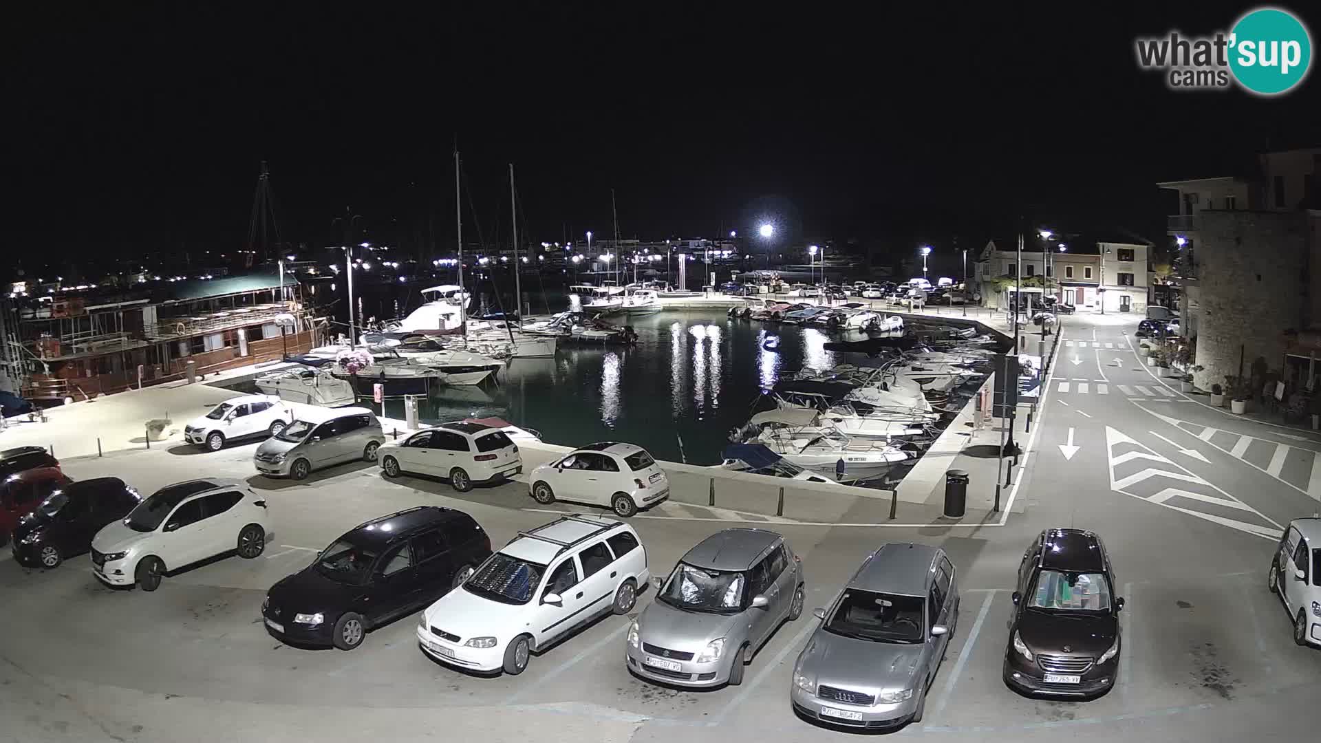 Novigrad | Porporela marina