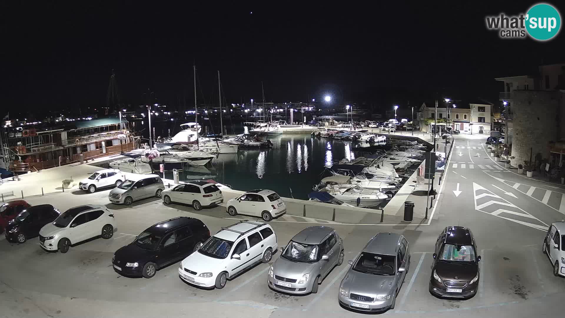 Novigrad | Porporela marina