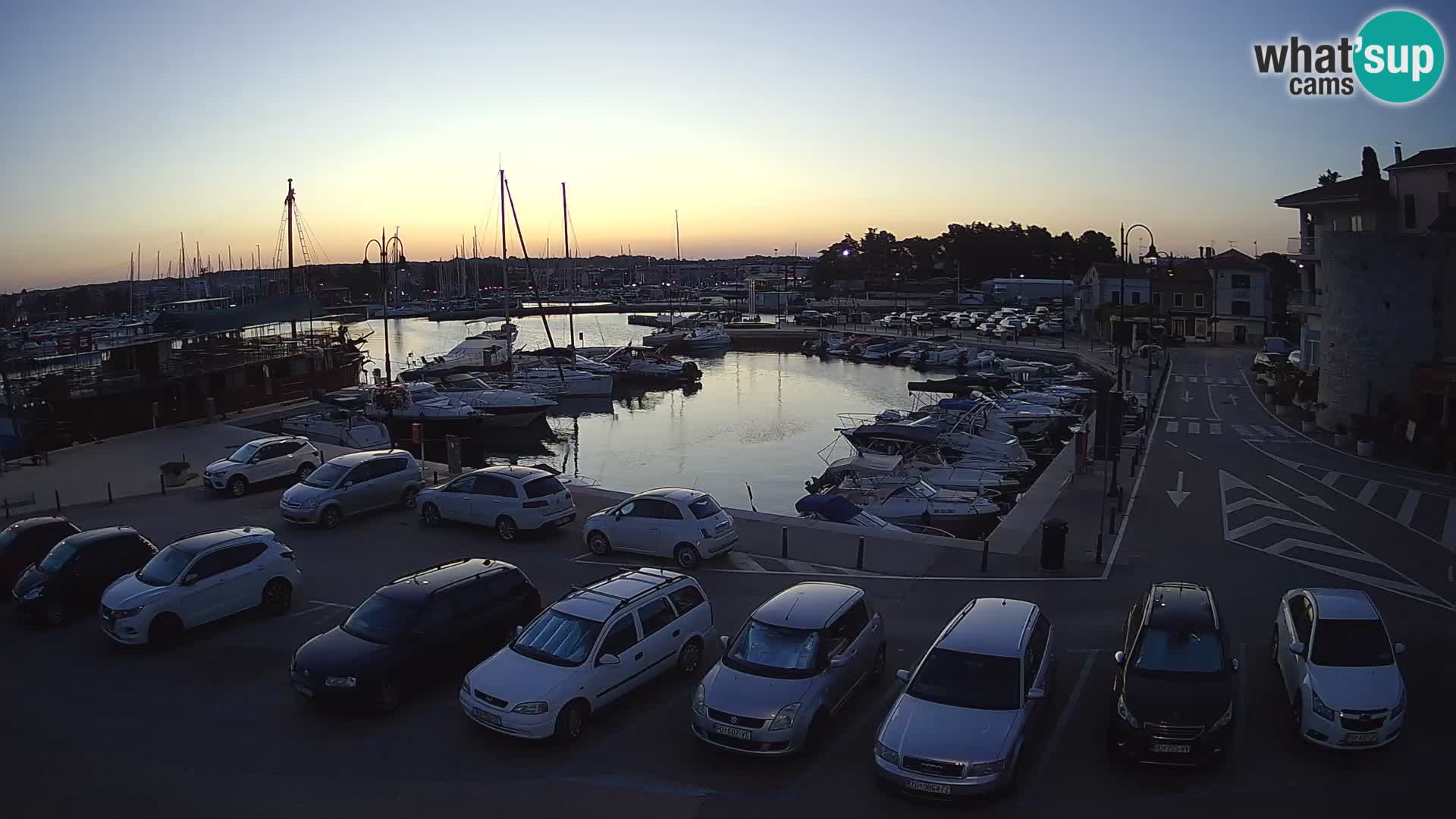 Novigrad | Porporela marina