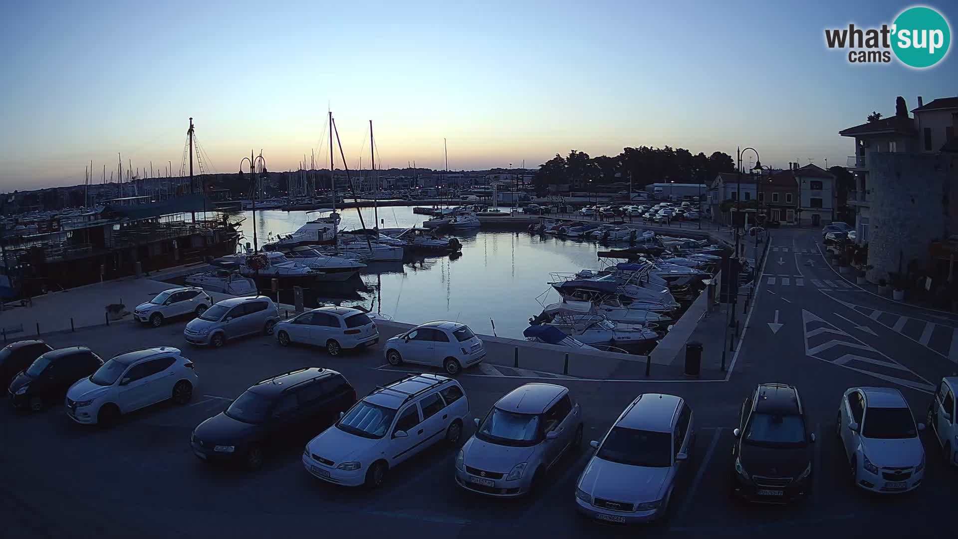 Novigrad | Porporela marina