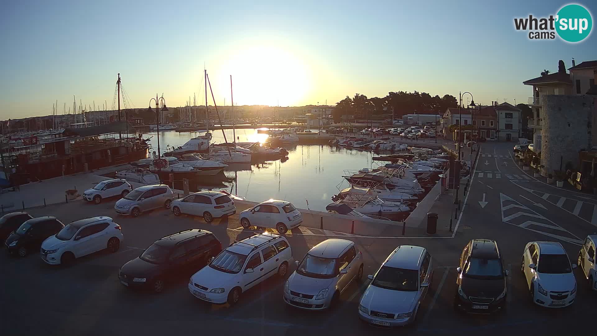 Novigrad | Porporela marina