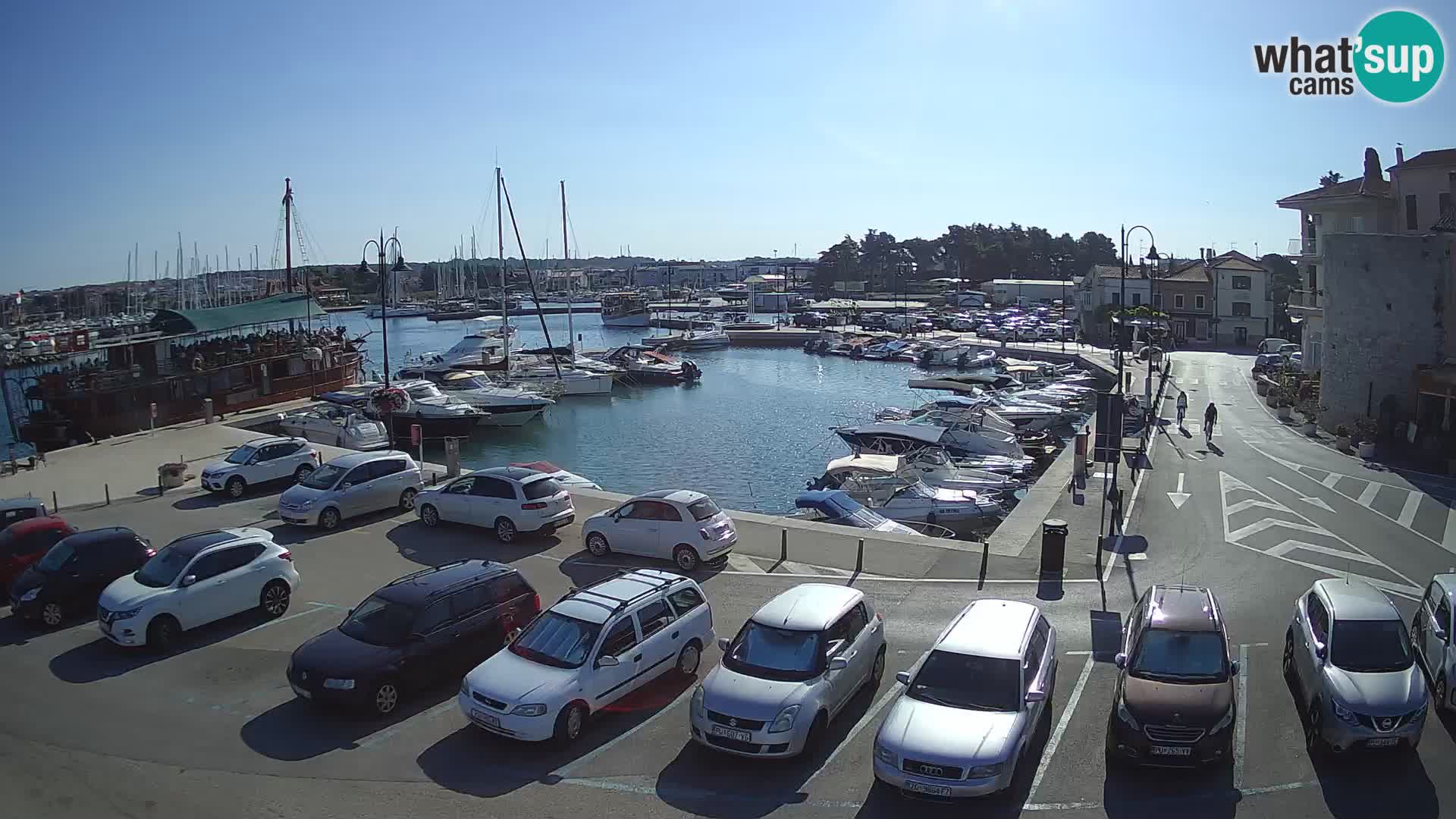 Novigrad | Porporela marina