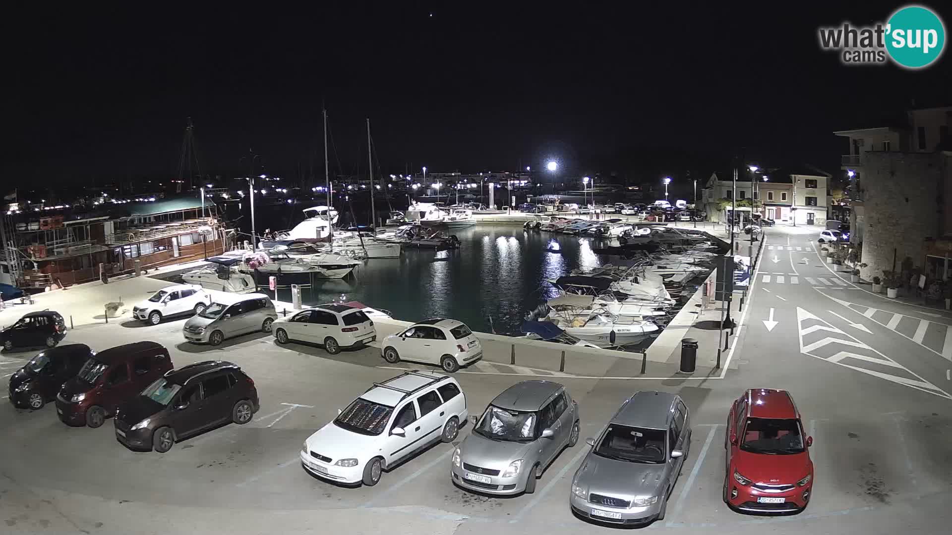 Novigrad | Porporela marina