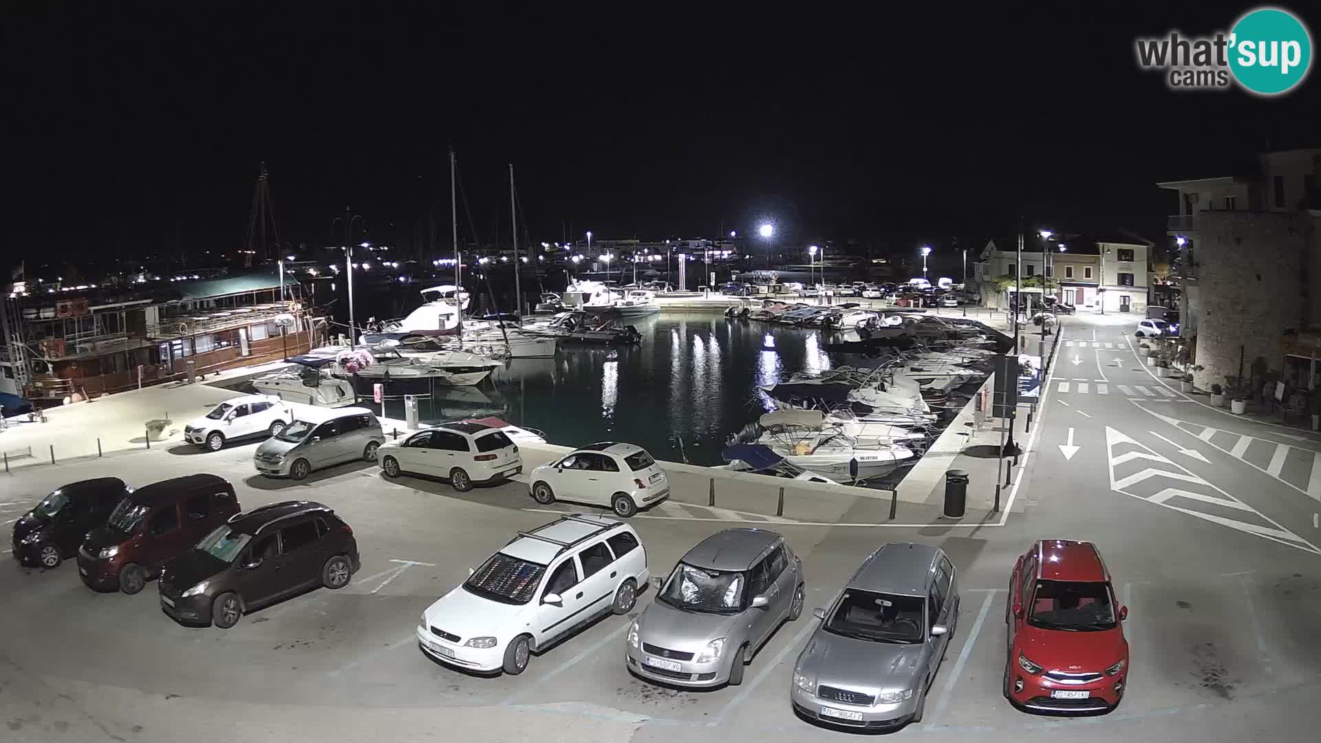 Novigrad | Porporela marina