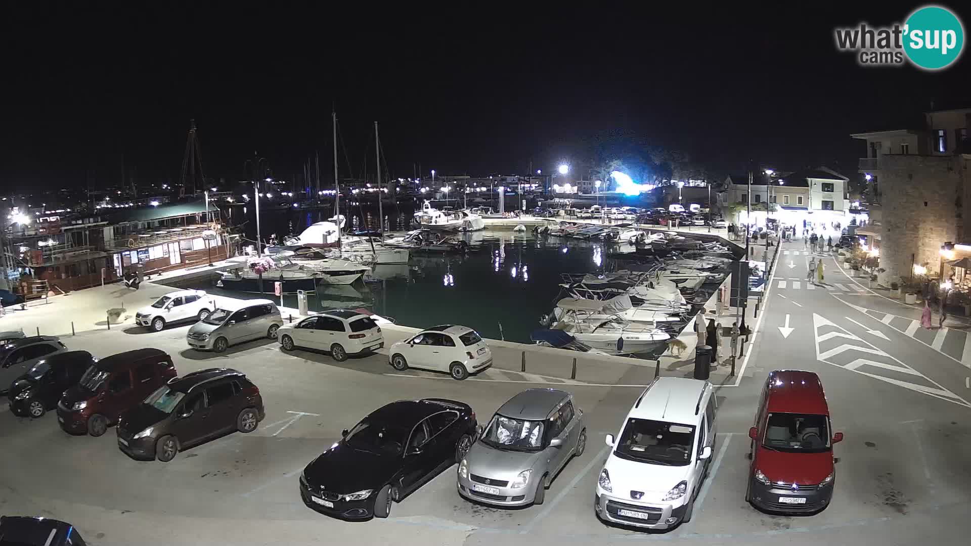 Novigrad | Porporela marina