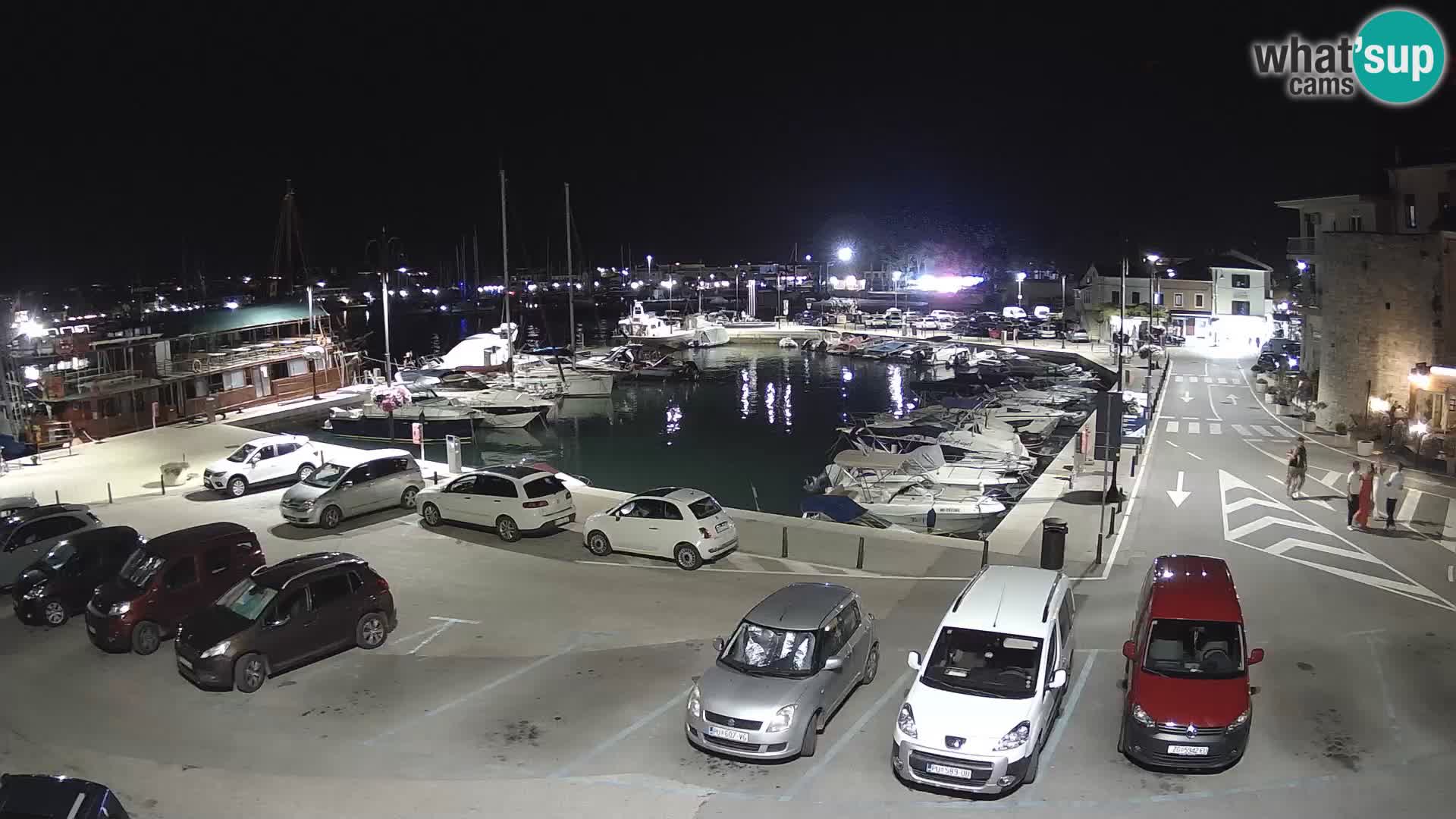Novigrad | Porporela marina