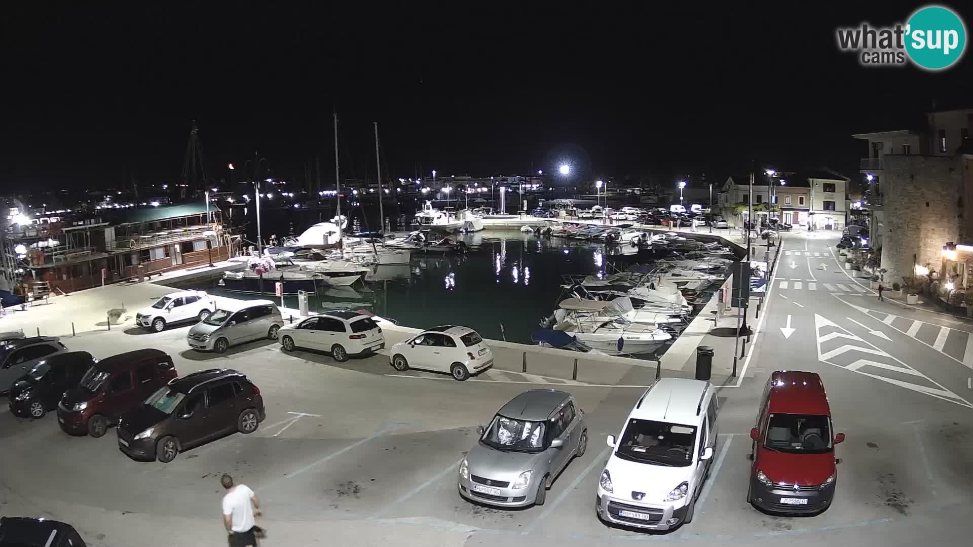 Novigrad | Porporela marina