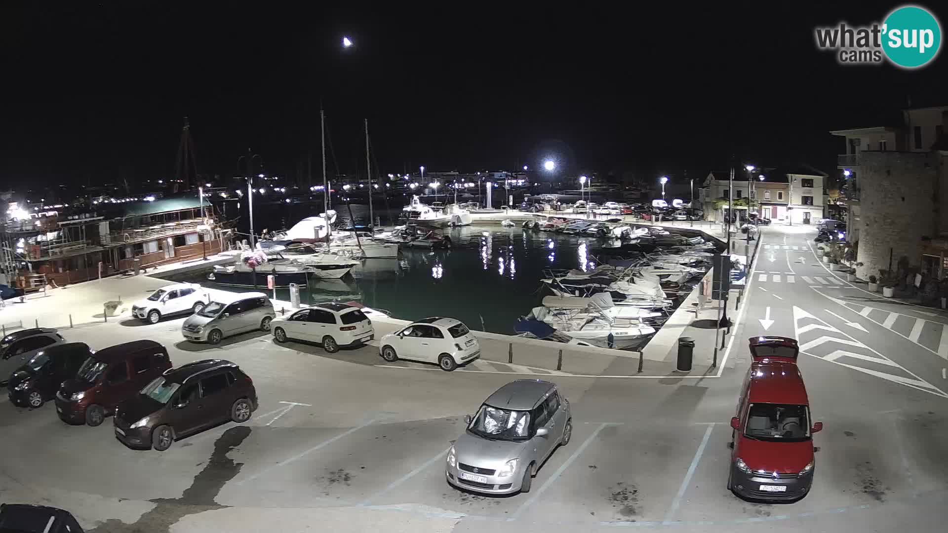 Novigrad | Porporela marina