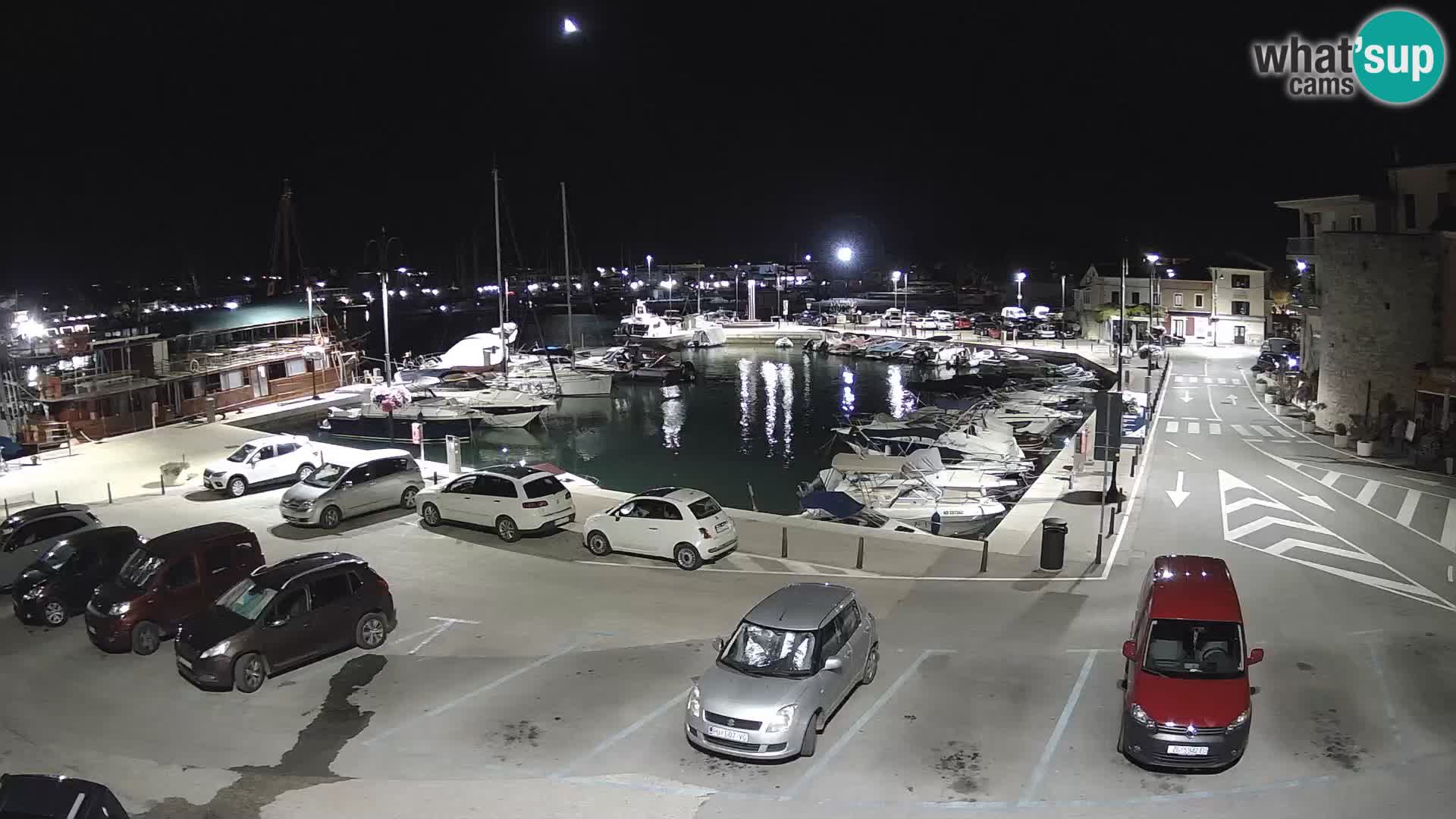 Novigrad | Porporela marina