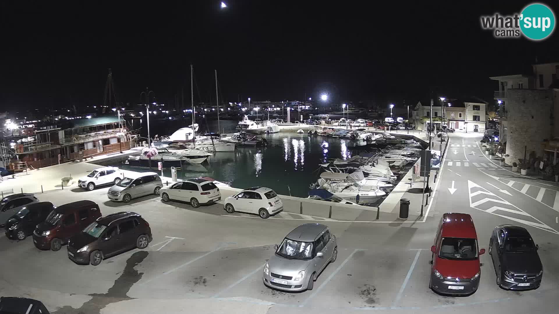 Novigrad | Porporela marina