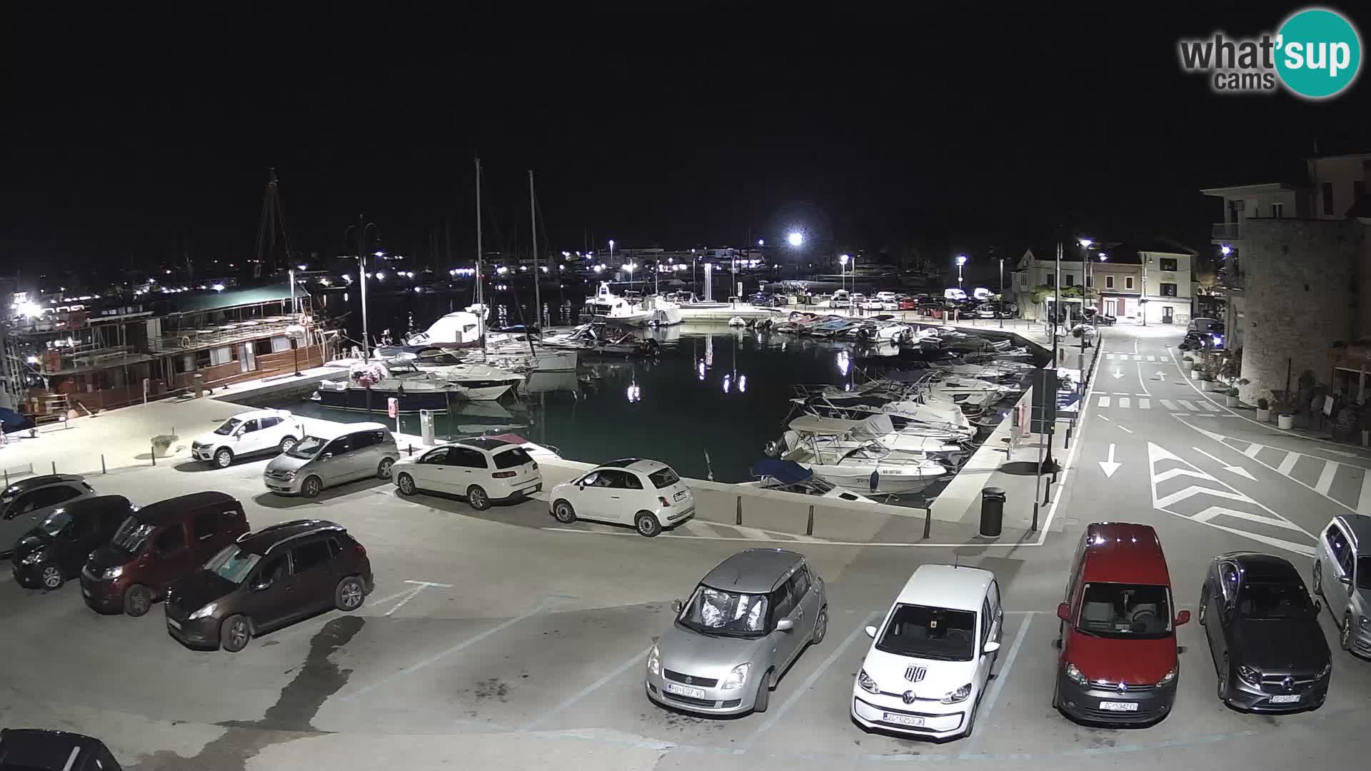 Novigrad | Porporela marina