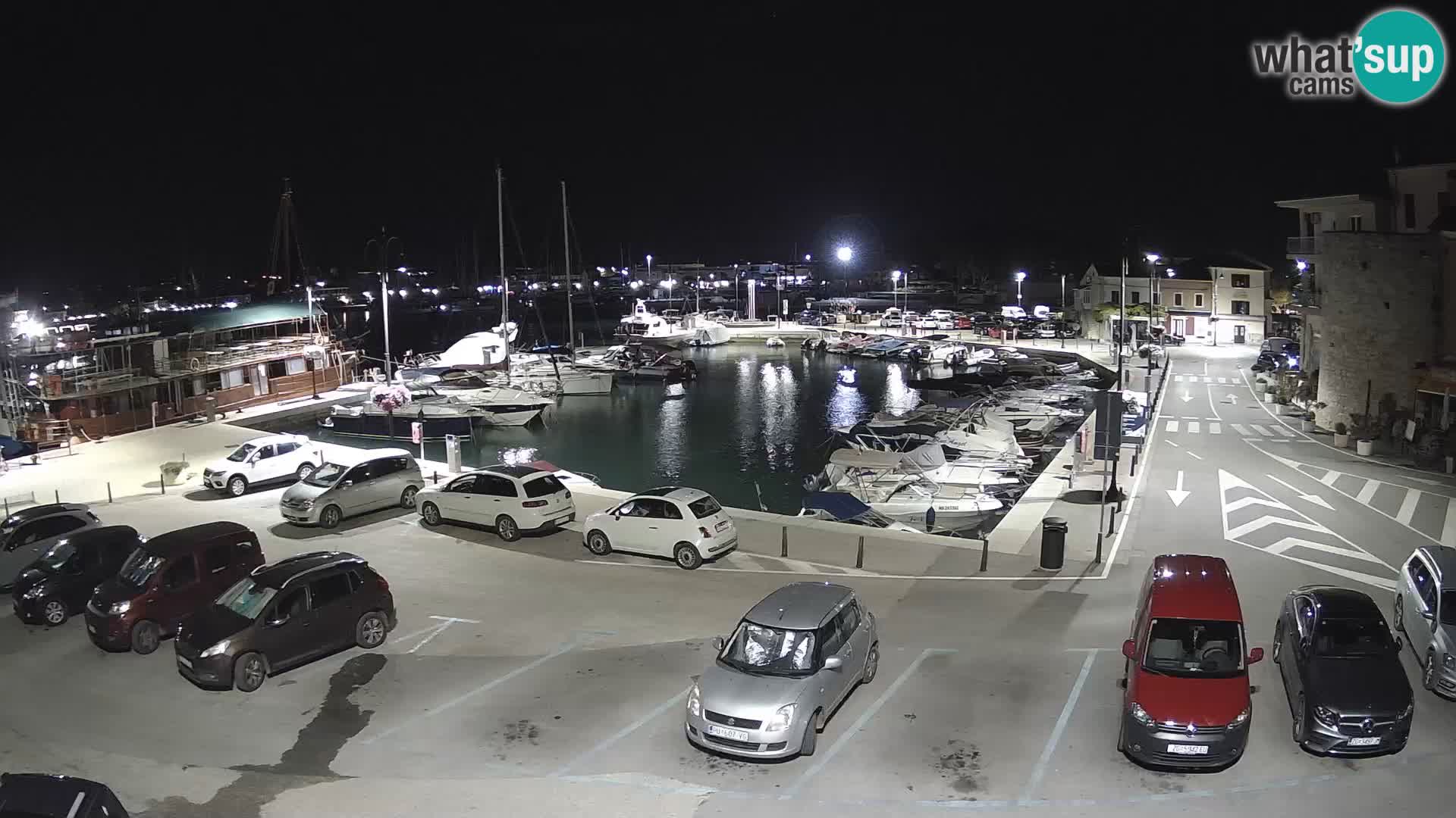 Novigrad | Porporela marina