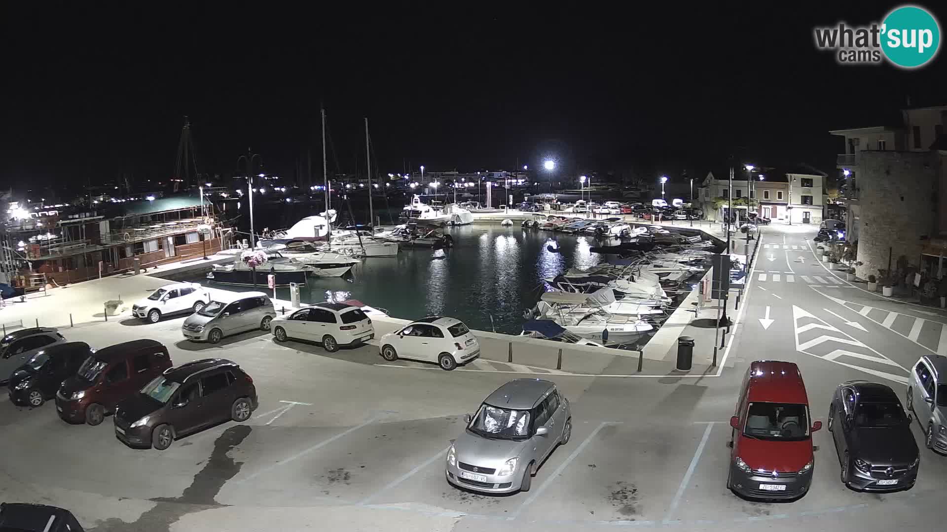 Novigrad | Porporela marina