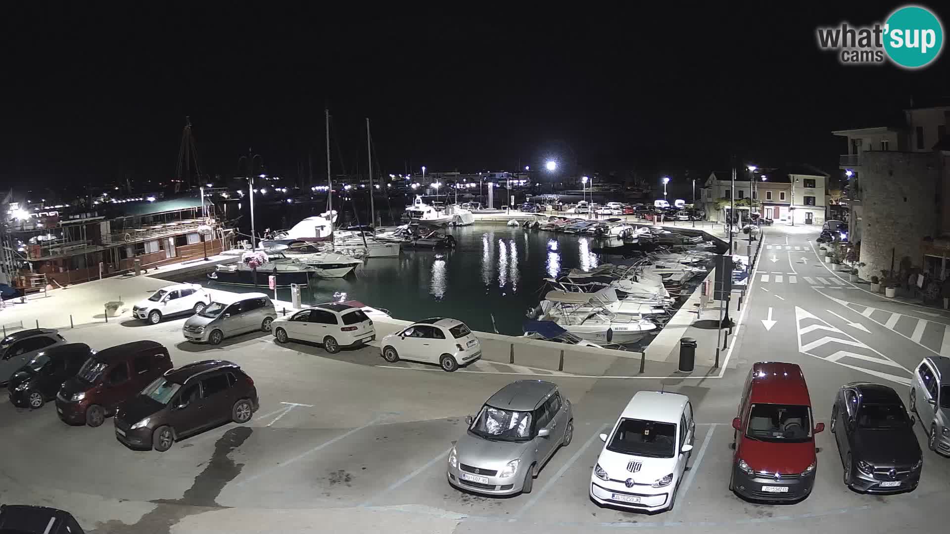 Novigrad | Porporela marina