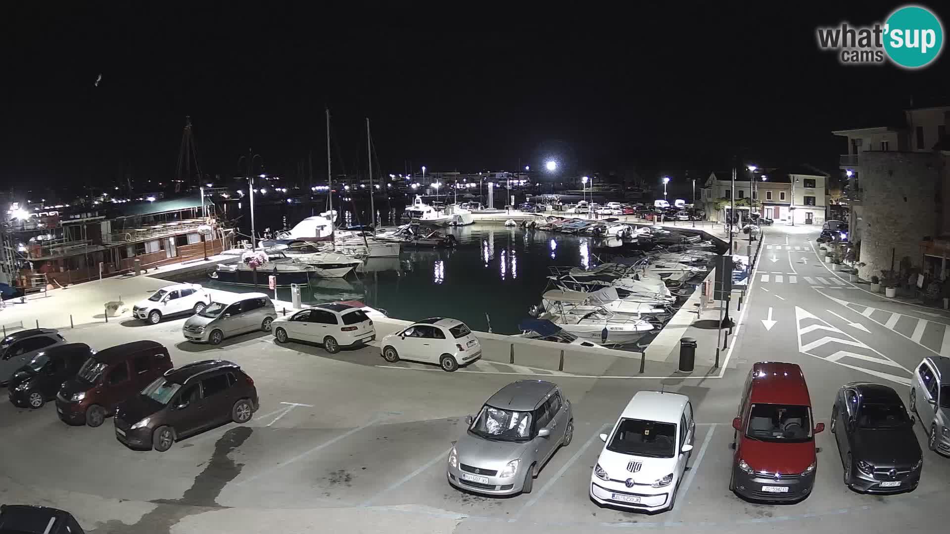 Novigrad | Porporela marina