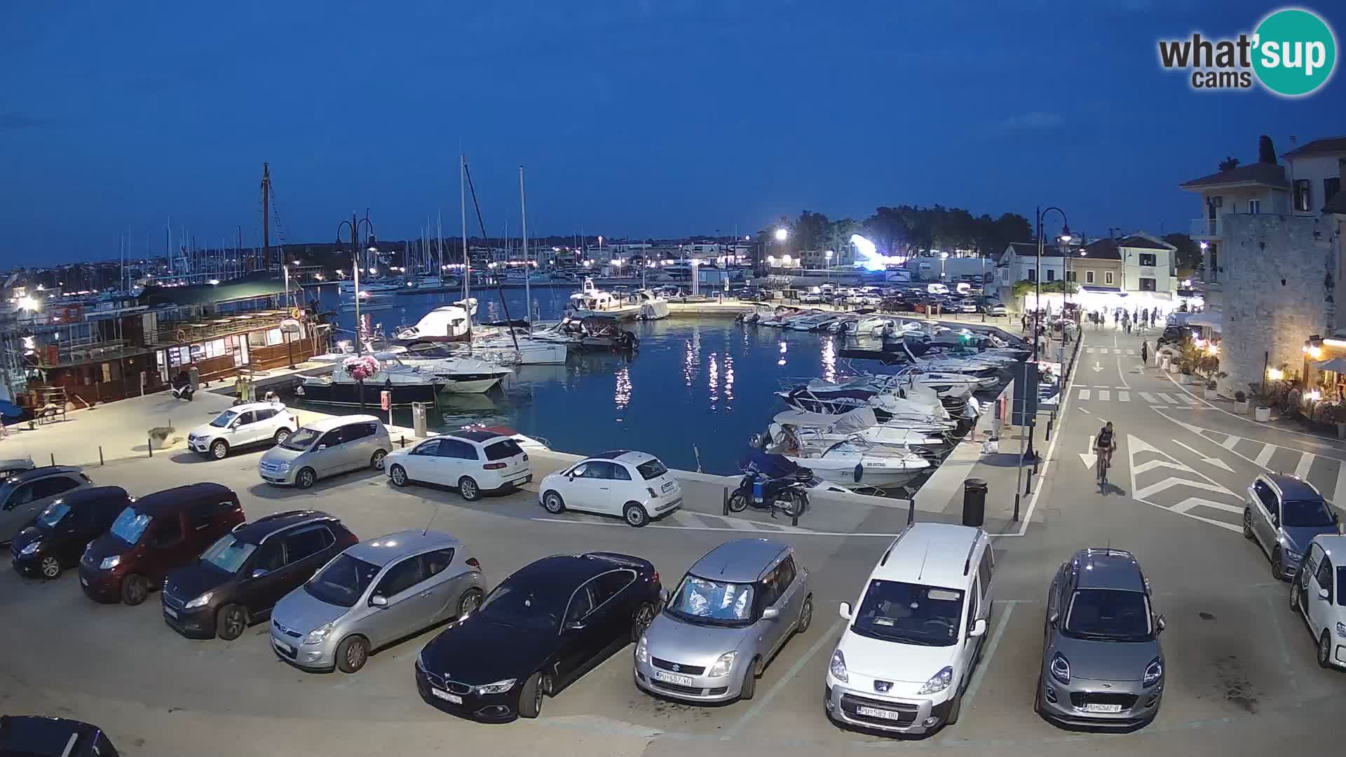 Novigrad | Porporela marina
