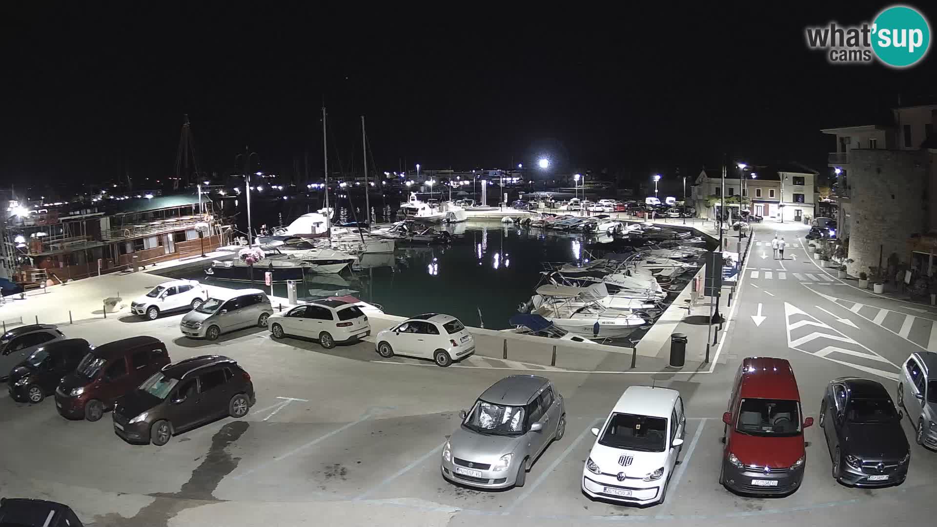 Novigrad | Porporela marina