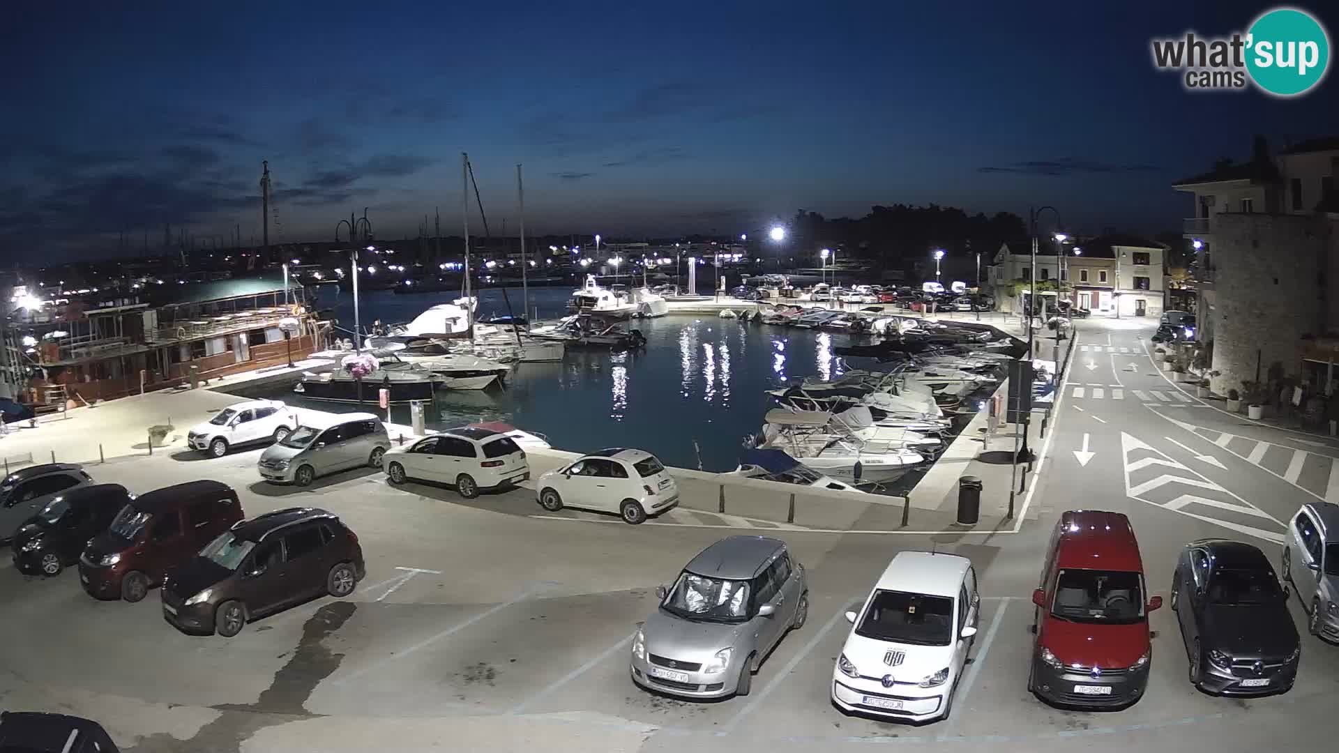 Novigrad | Porporela marina