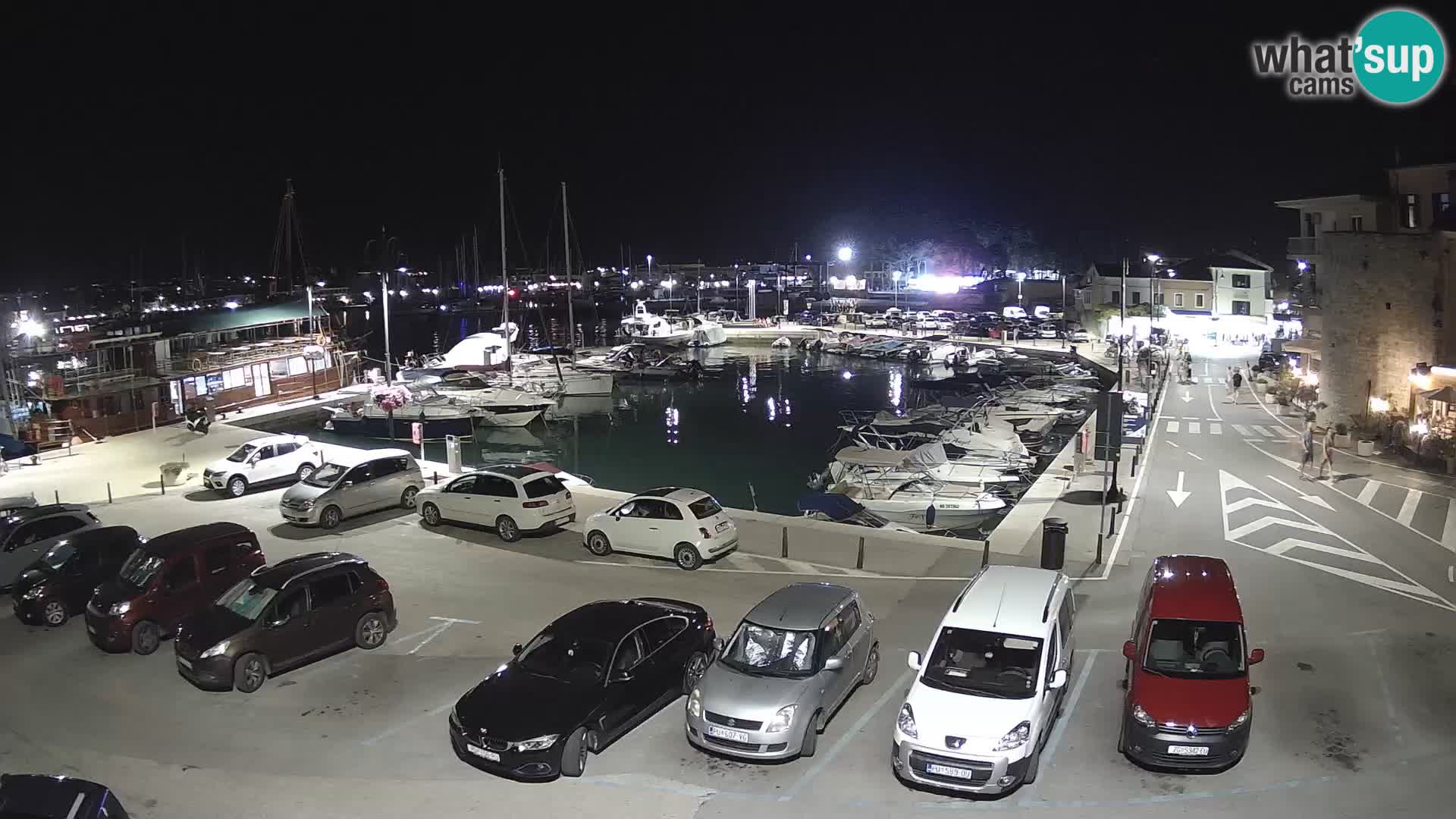 Novigrad | Porporela marina