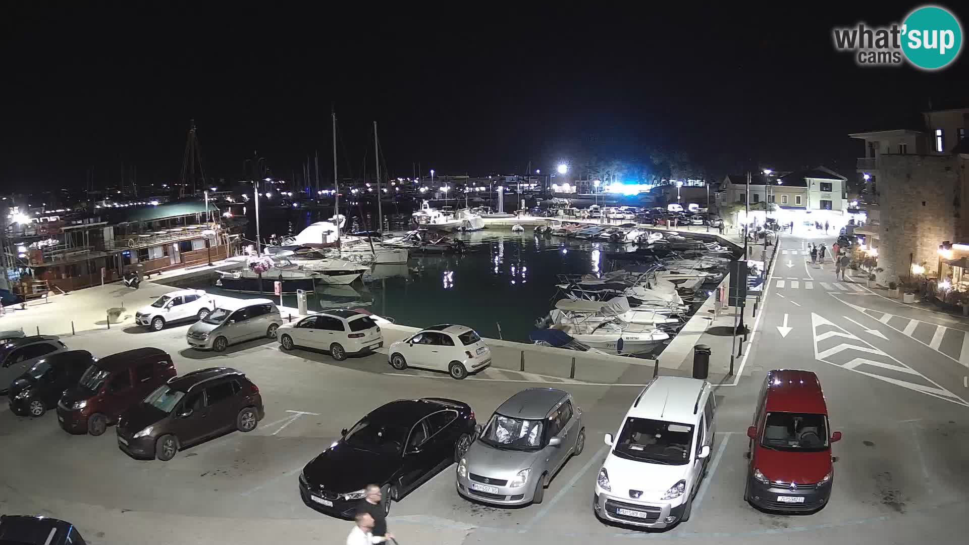 Novigrad | Porporela marina