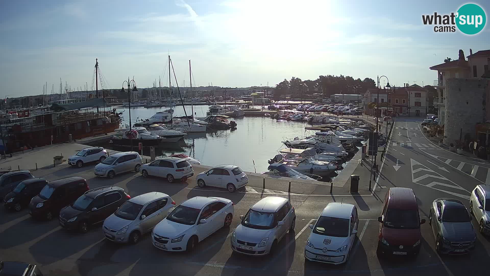 Novigrad | Porporela marina