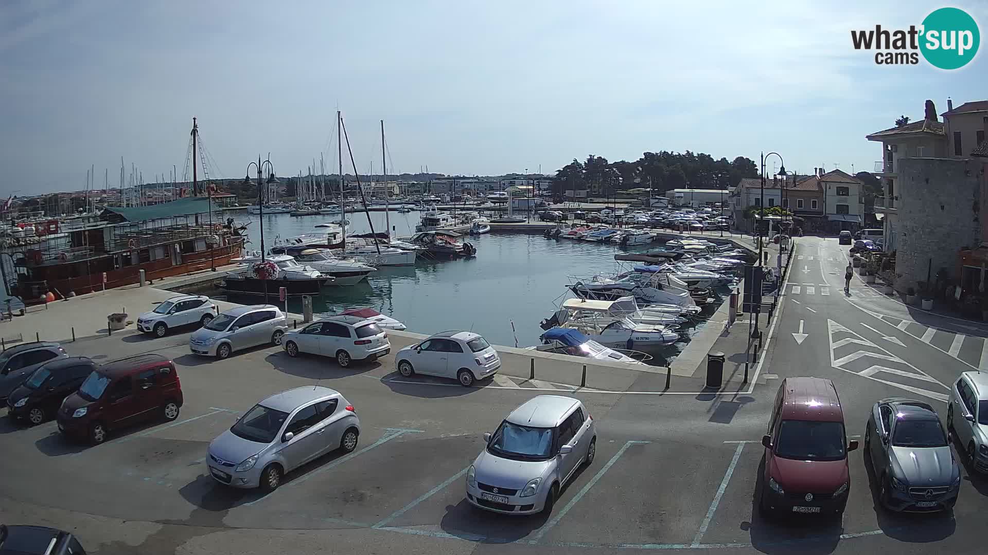 Novigrad | Porporela marina