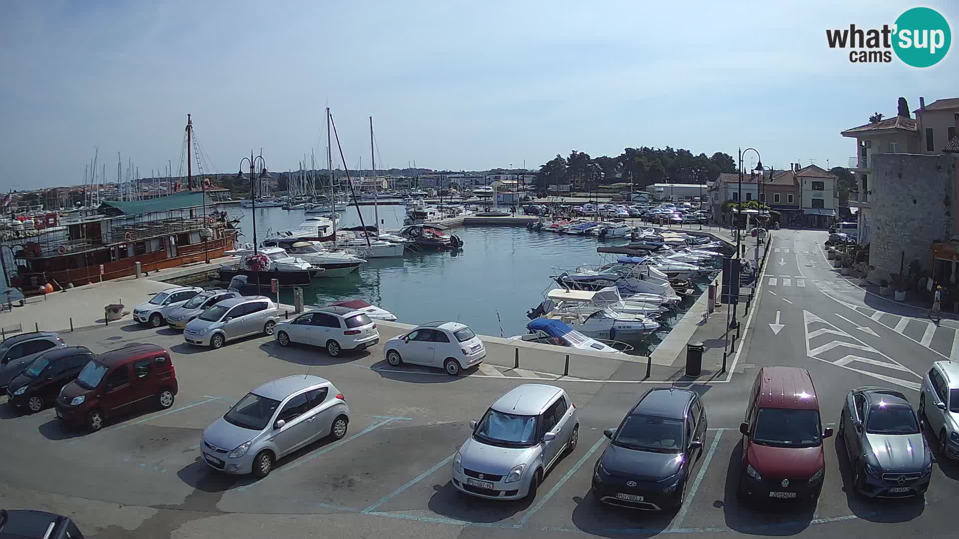 Novigrad | Porporela marina
