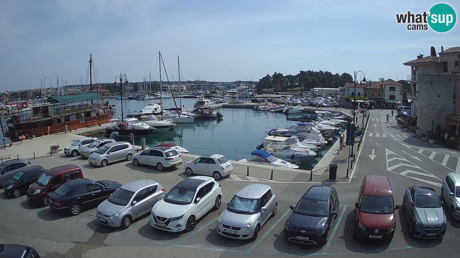Novigrad | Porporela marina
