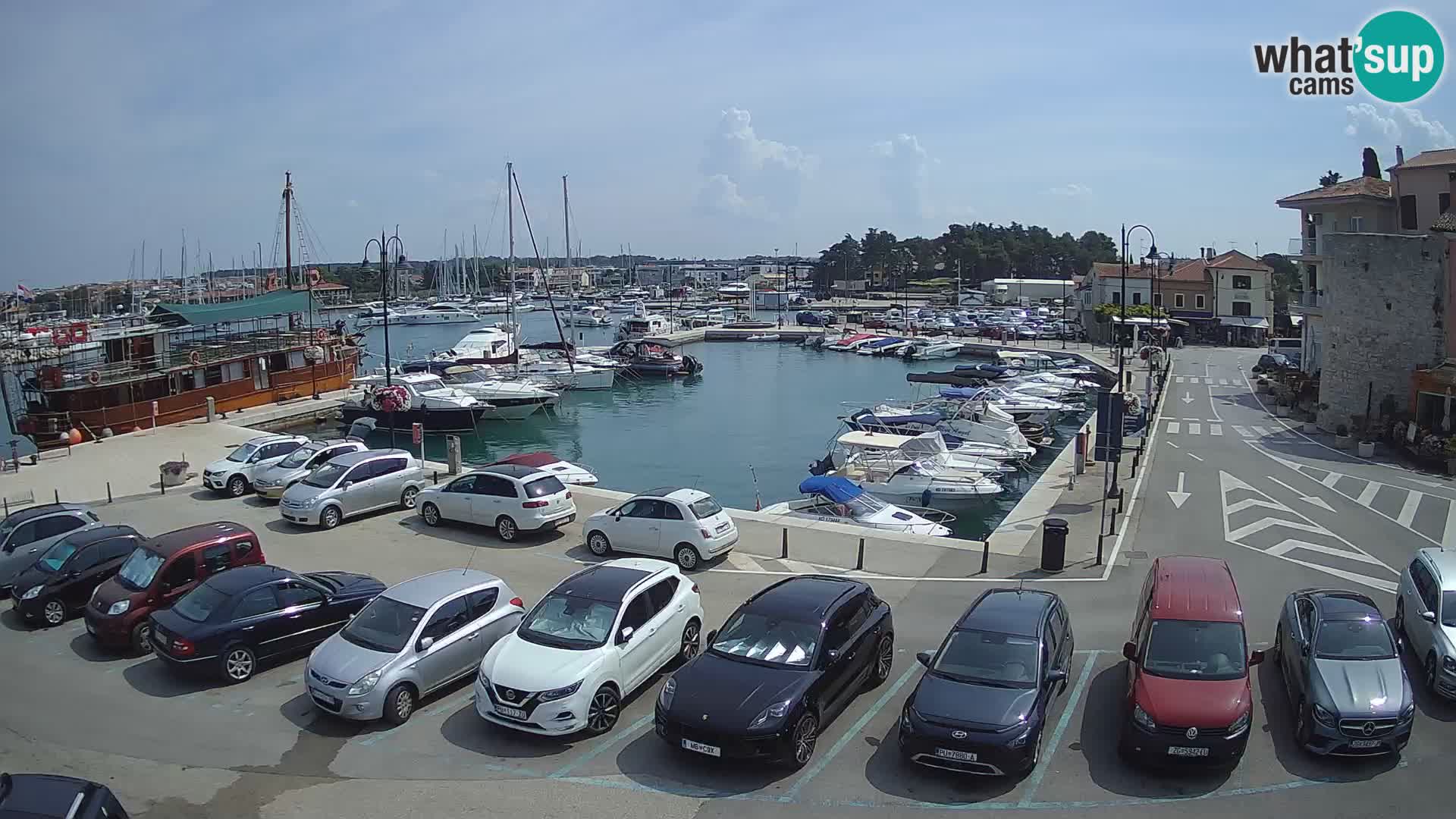 Novigrad | Porporela marina