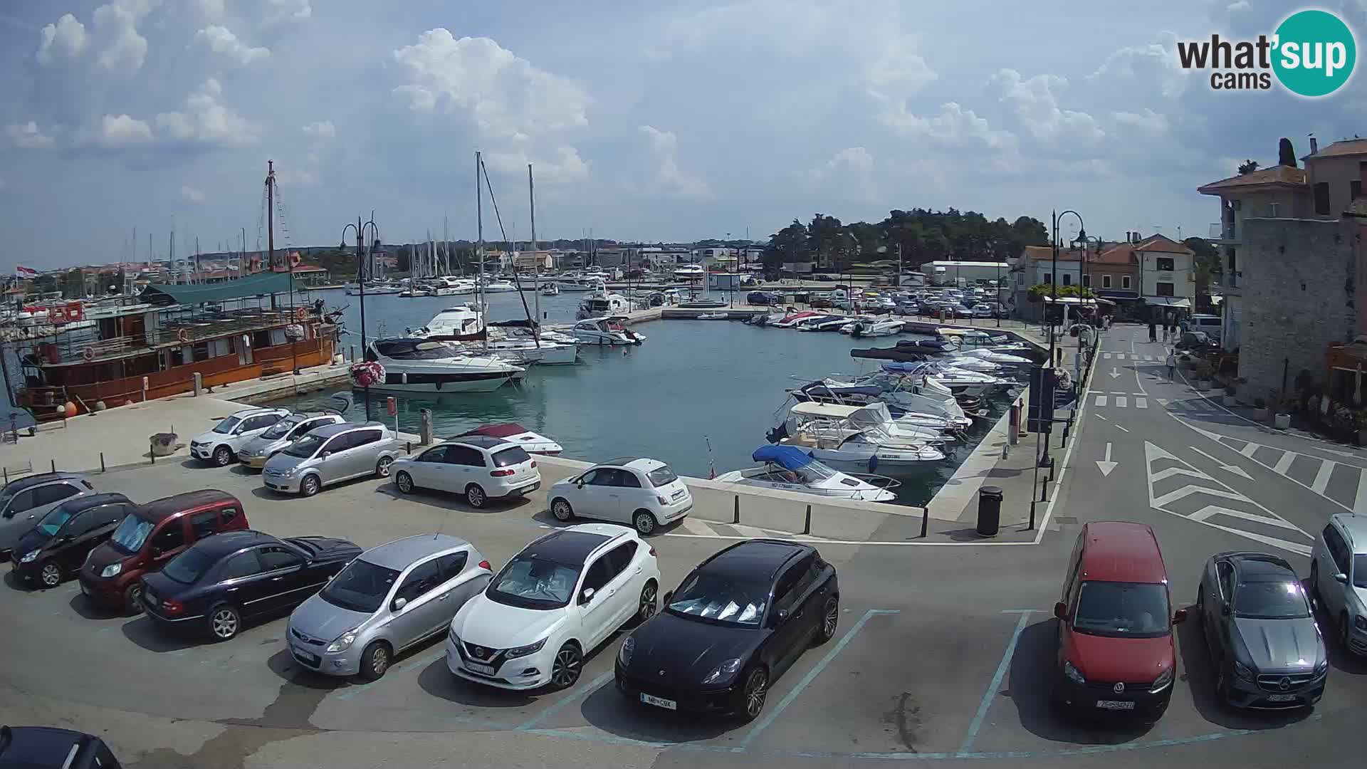 Novigrad | Porporela marina