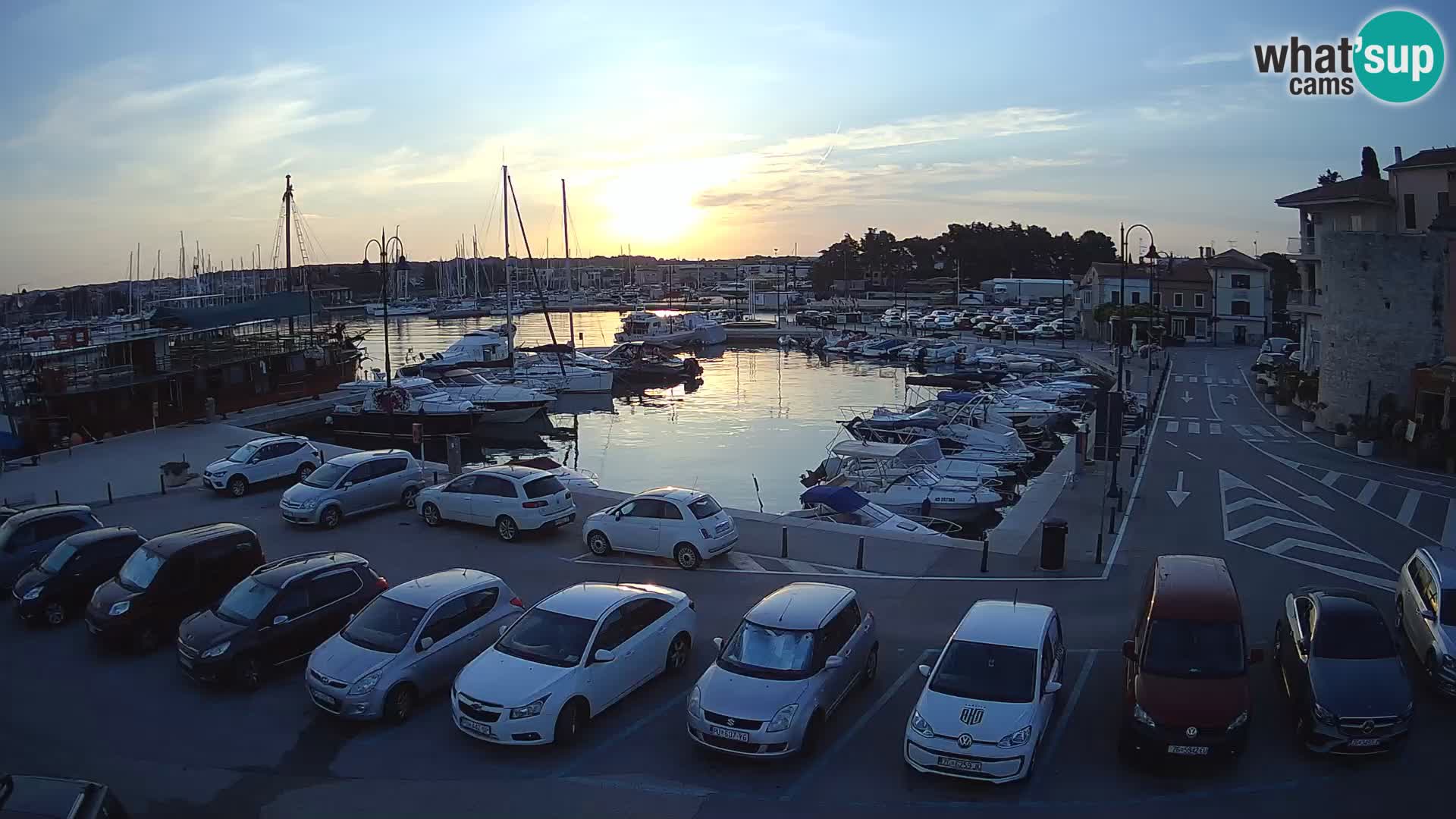 Novigrad | Porporela marina