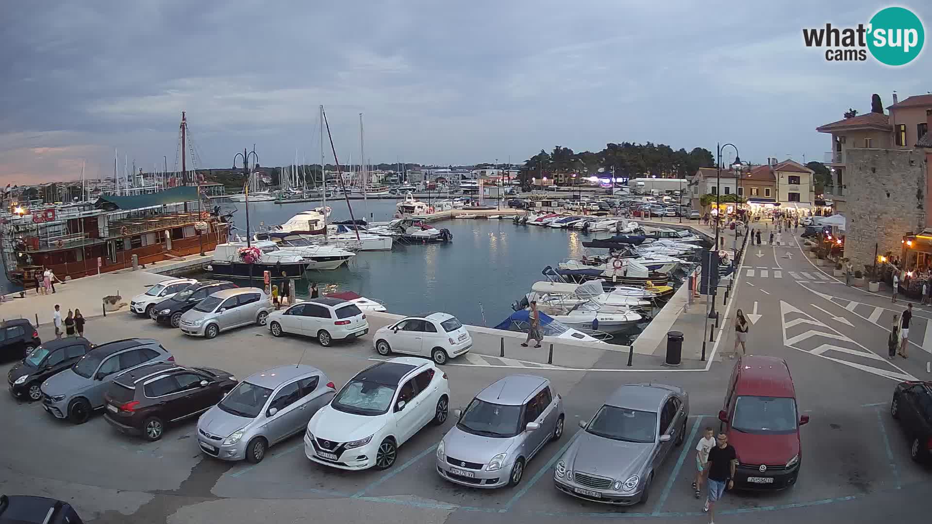 Novigrad | Porporela marina