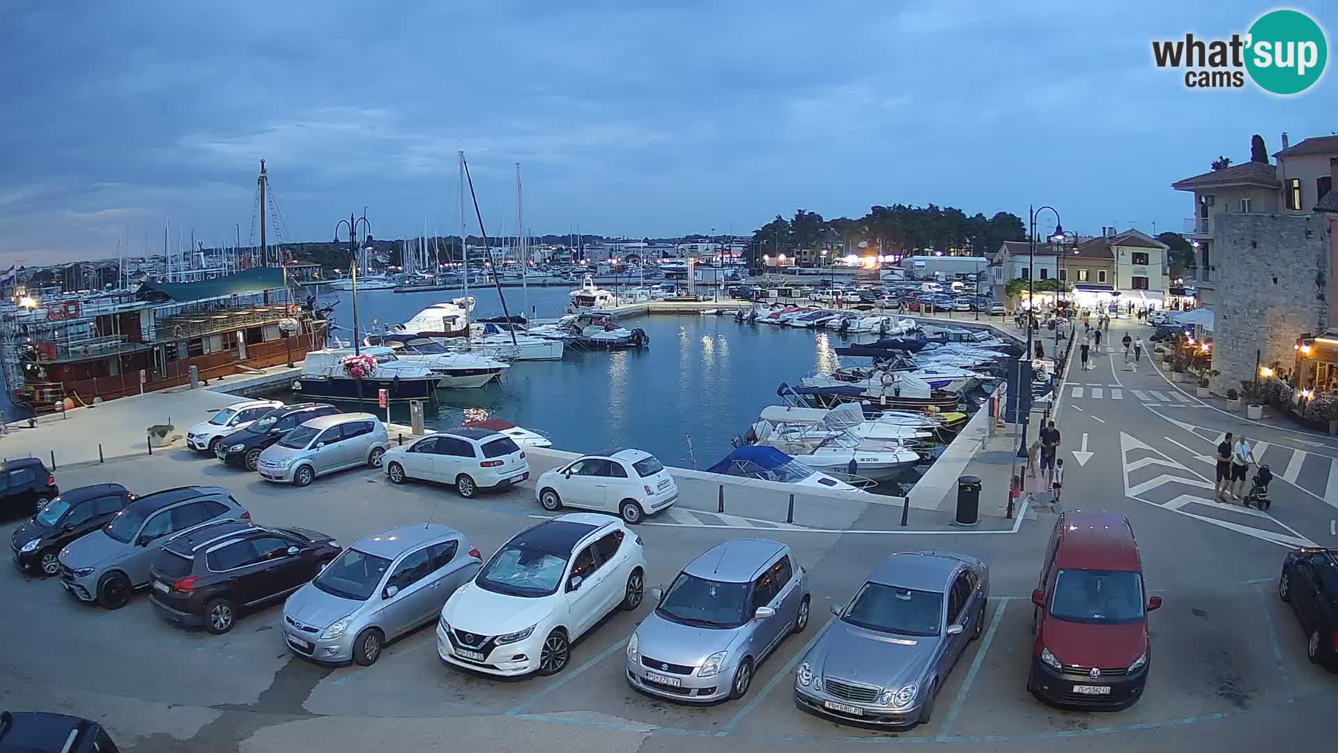 Novigrad | Porporela marina