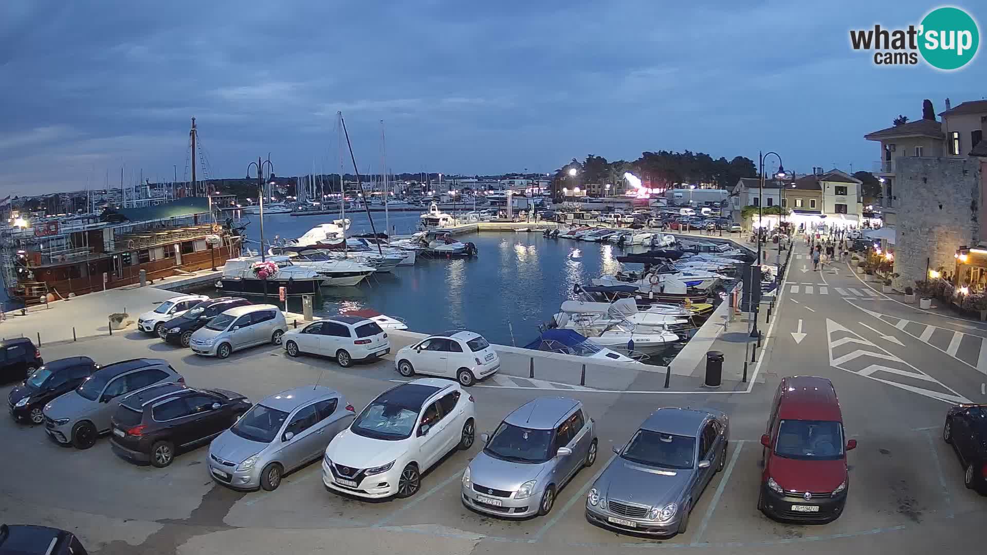 Novigrad | Porporela marina