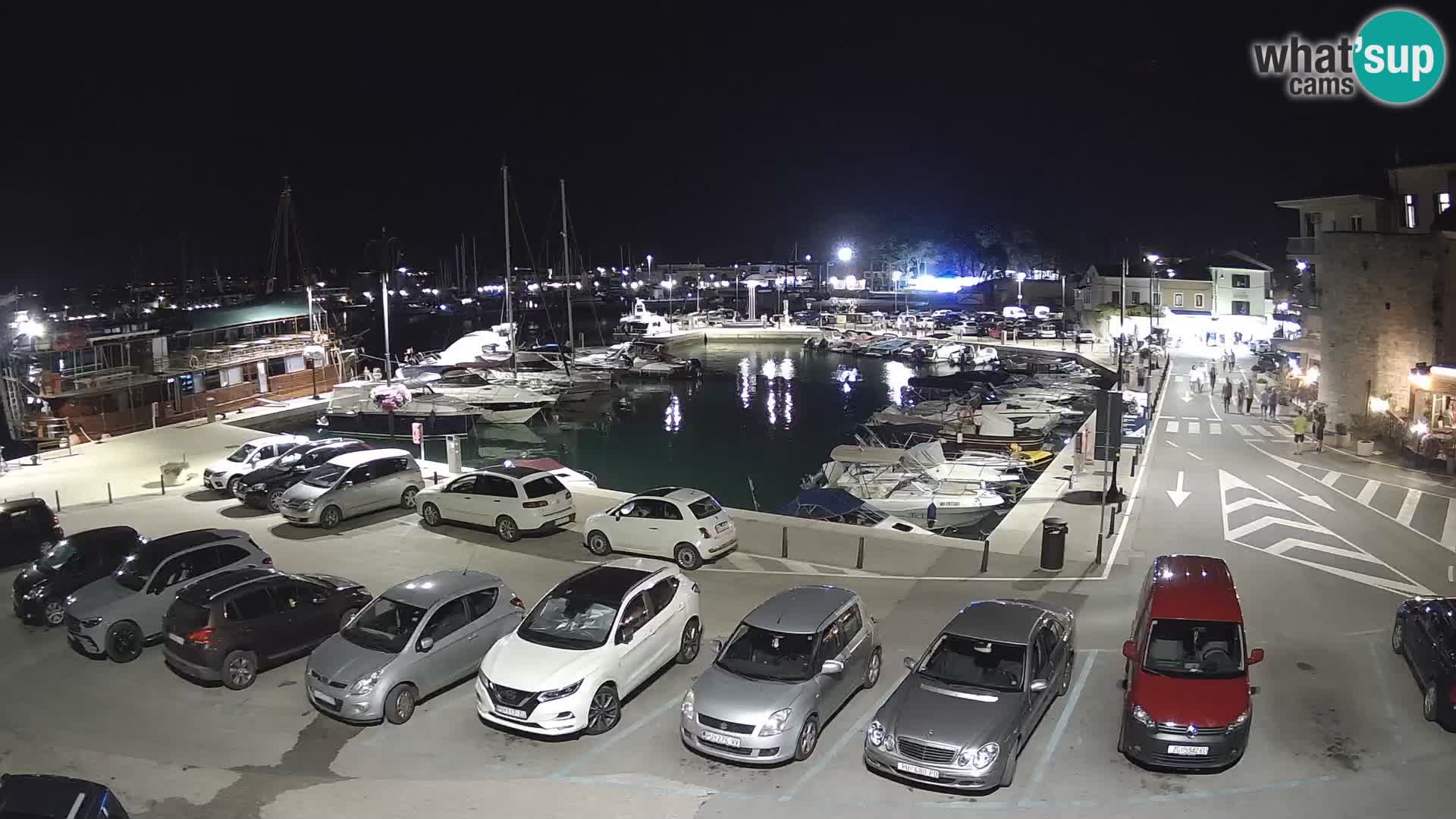 Novigrad | Porporela marina