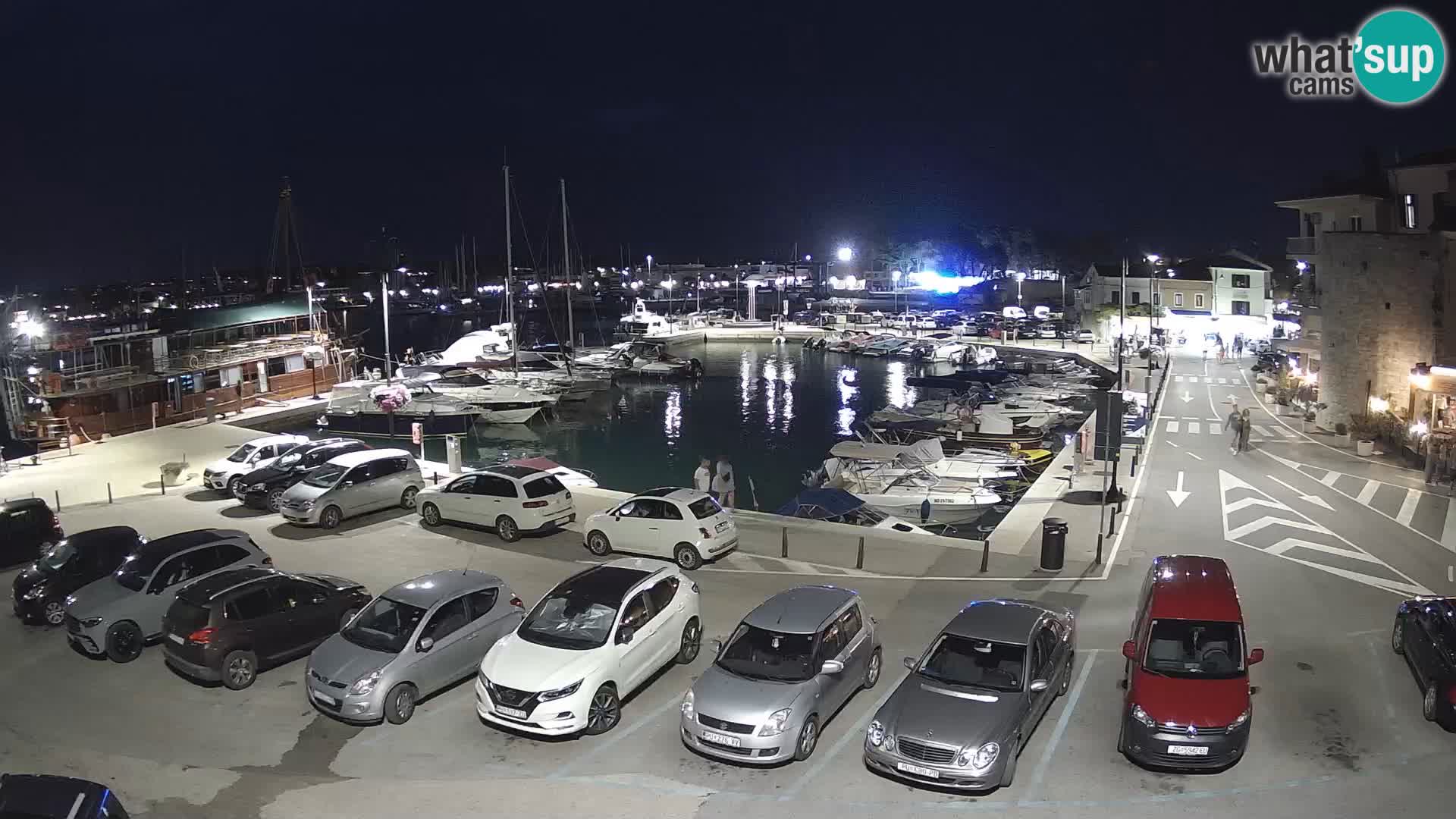 Novigrad | Porporela marina