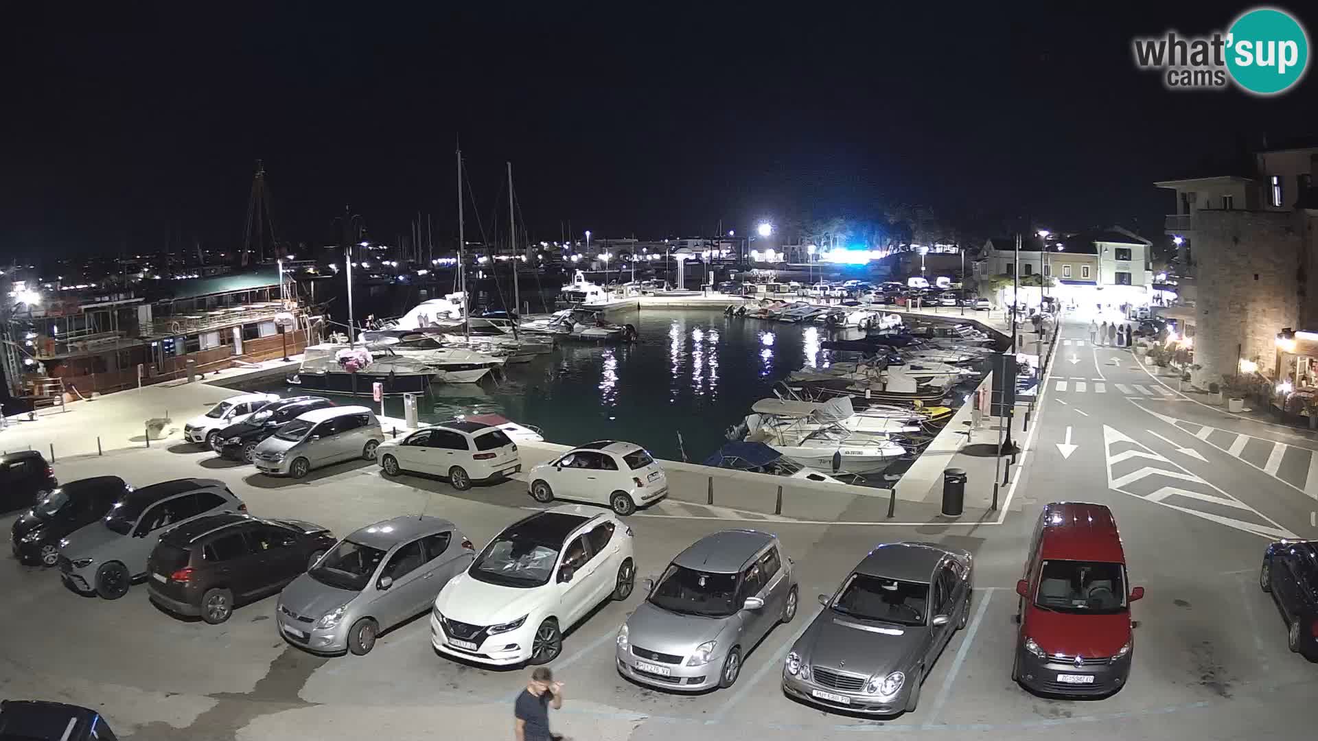 Novigrad | Porporela marina
