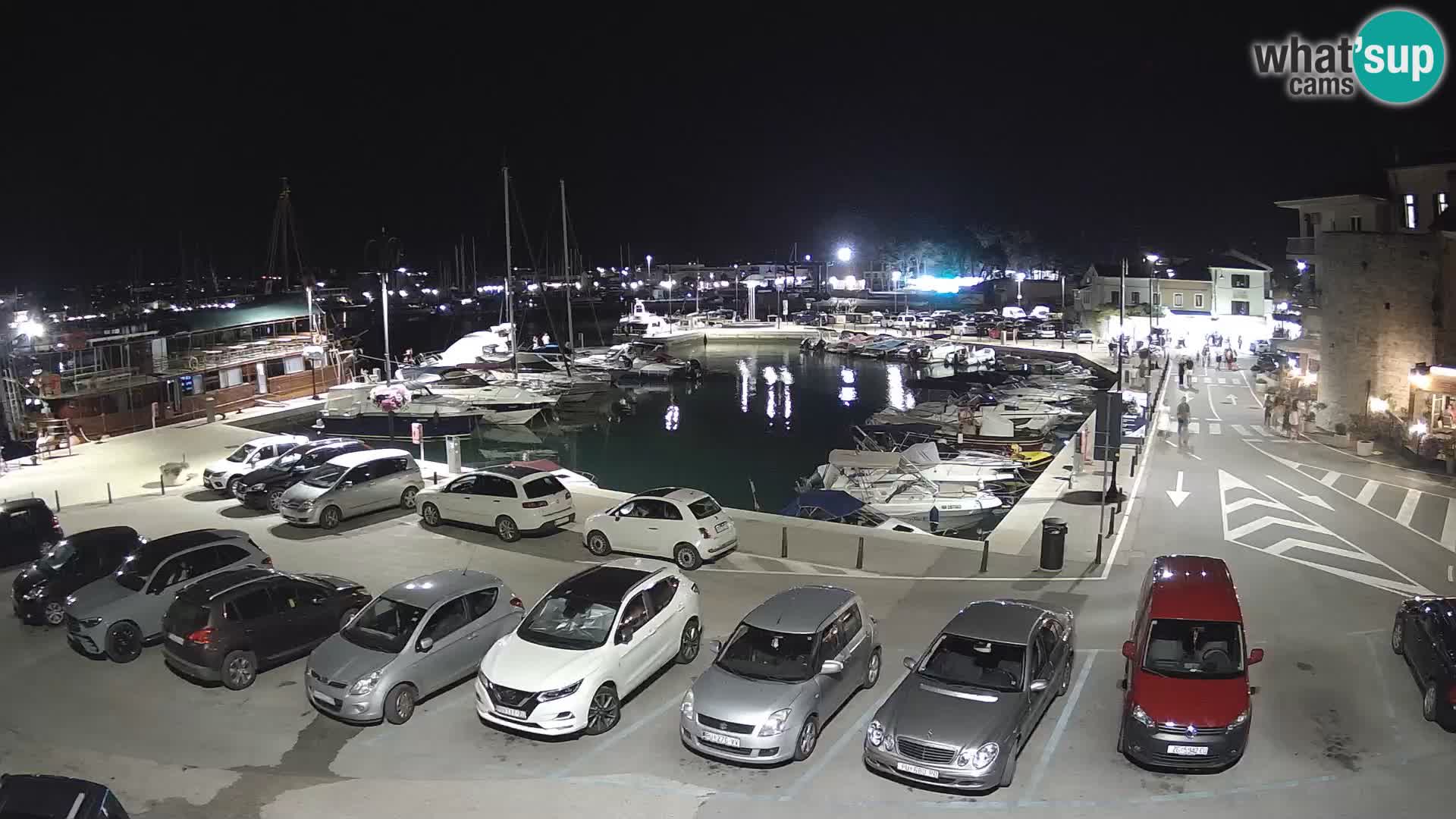 Novigrad | Porporela marina