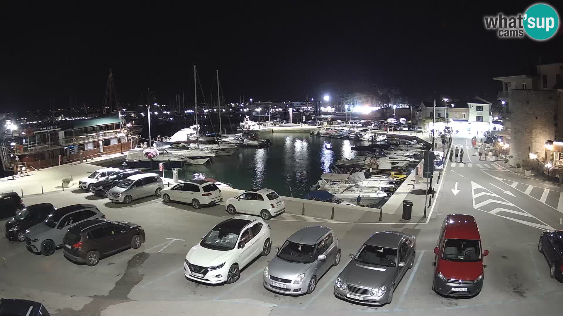 Novigrad | Porporela marina