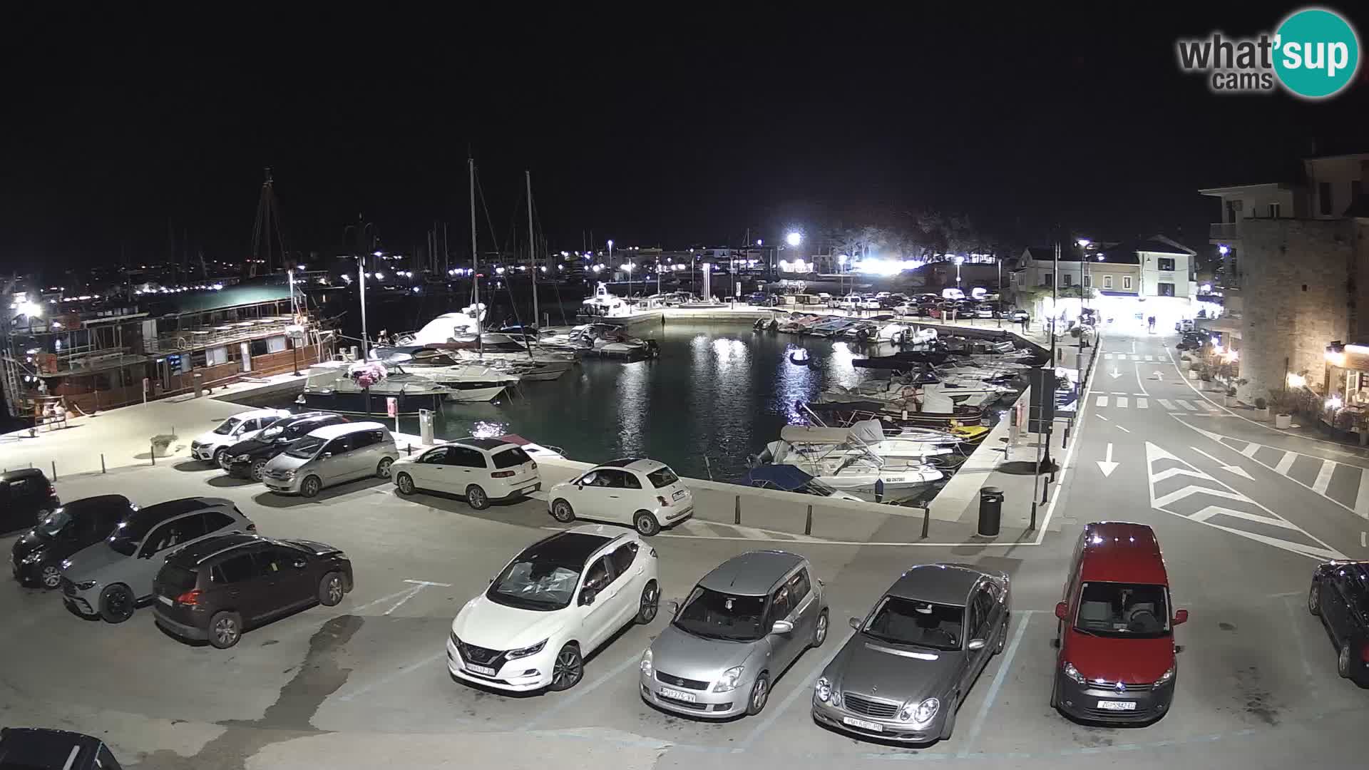 Novigrad | Porporela marina