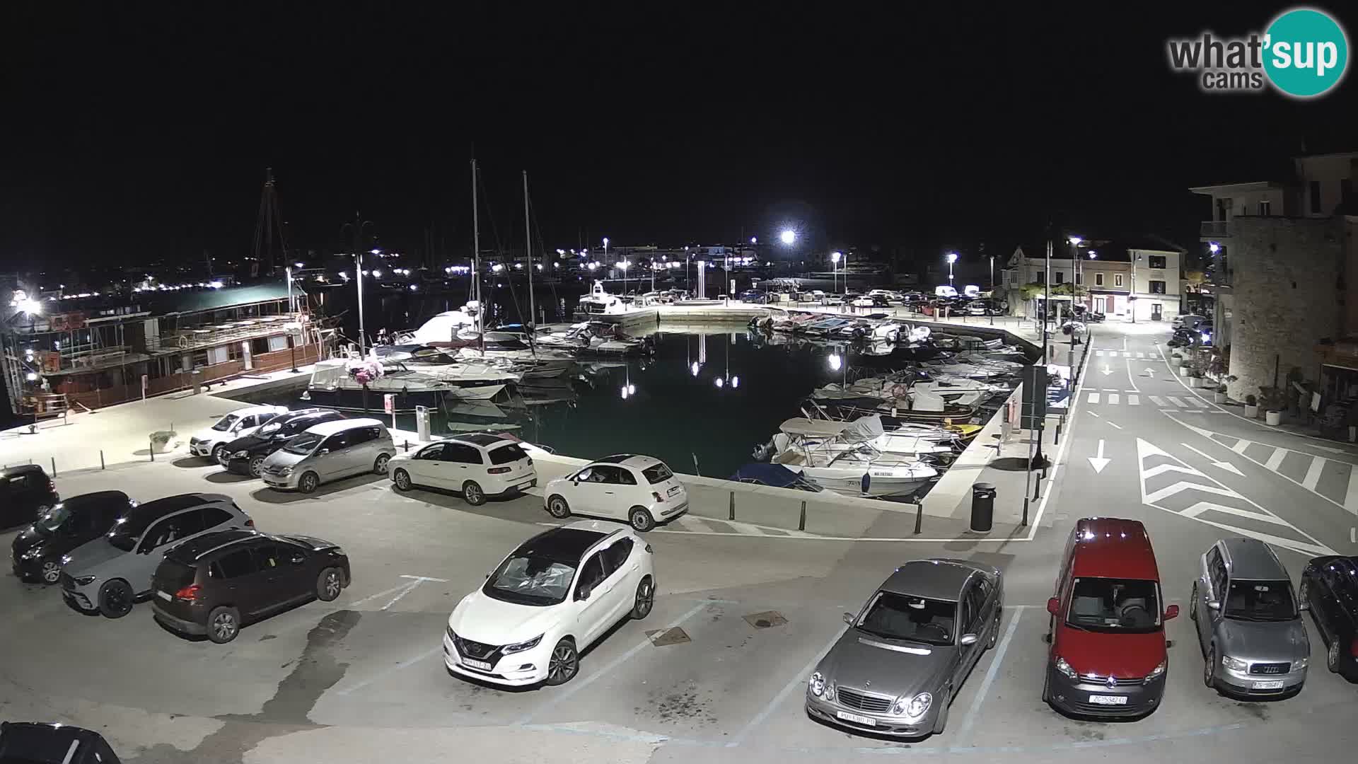 Novigrad | Porporela marina