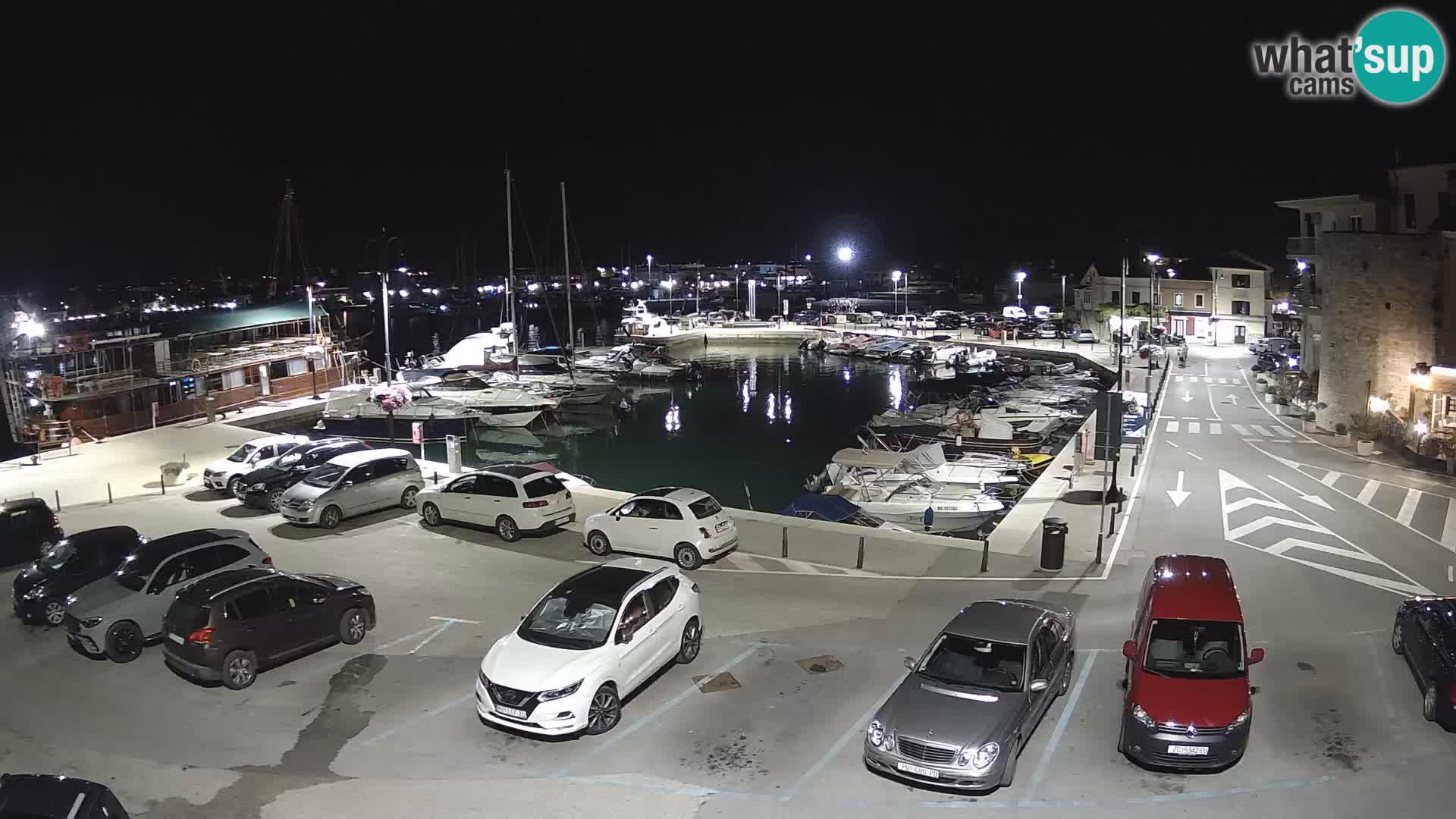 Novigrad | Porporela marina