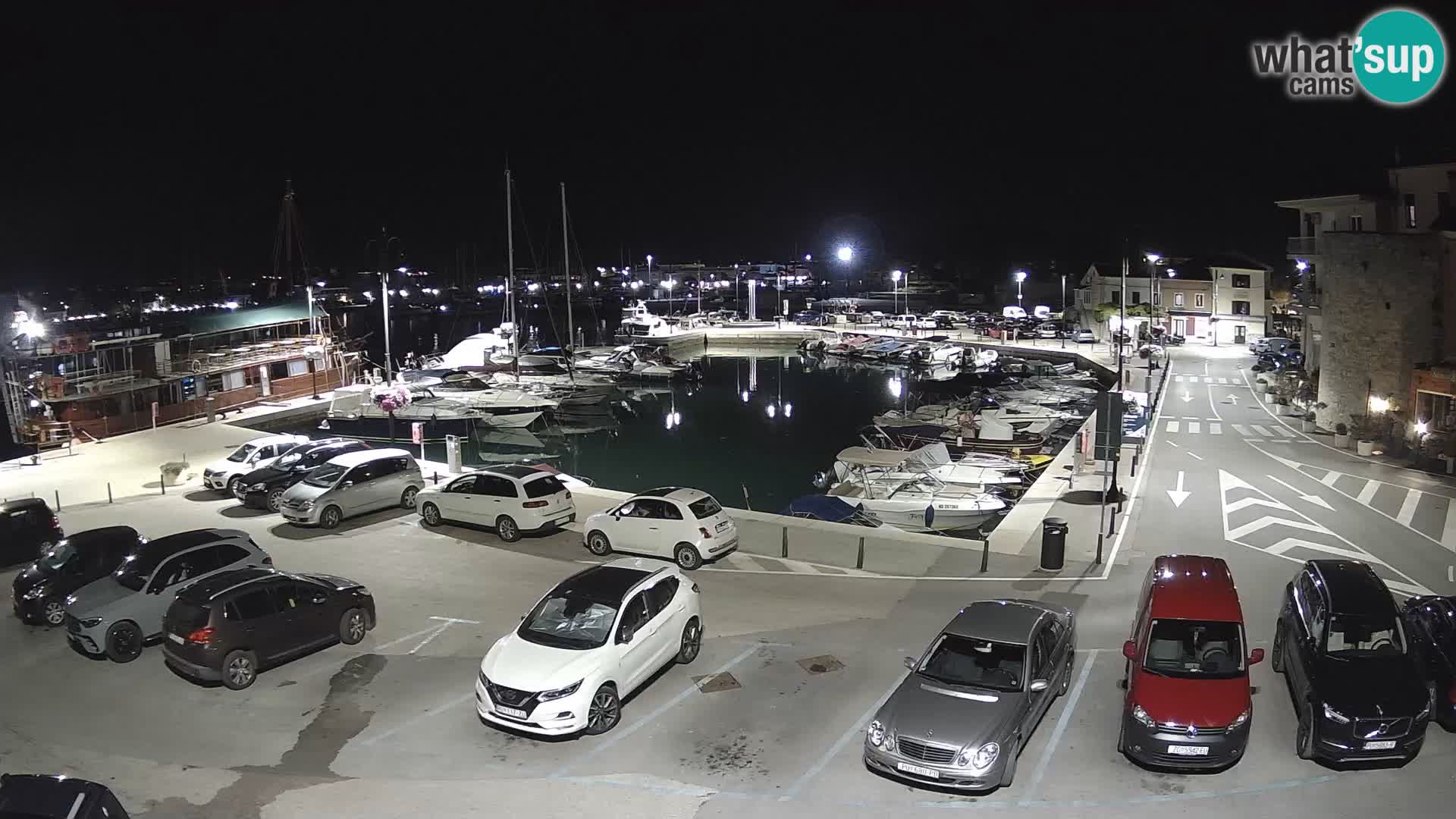 Novigrad | Porporela marina