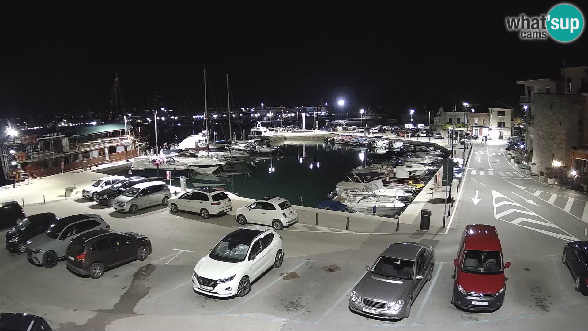 Novigrad | Porporela marina